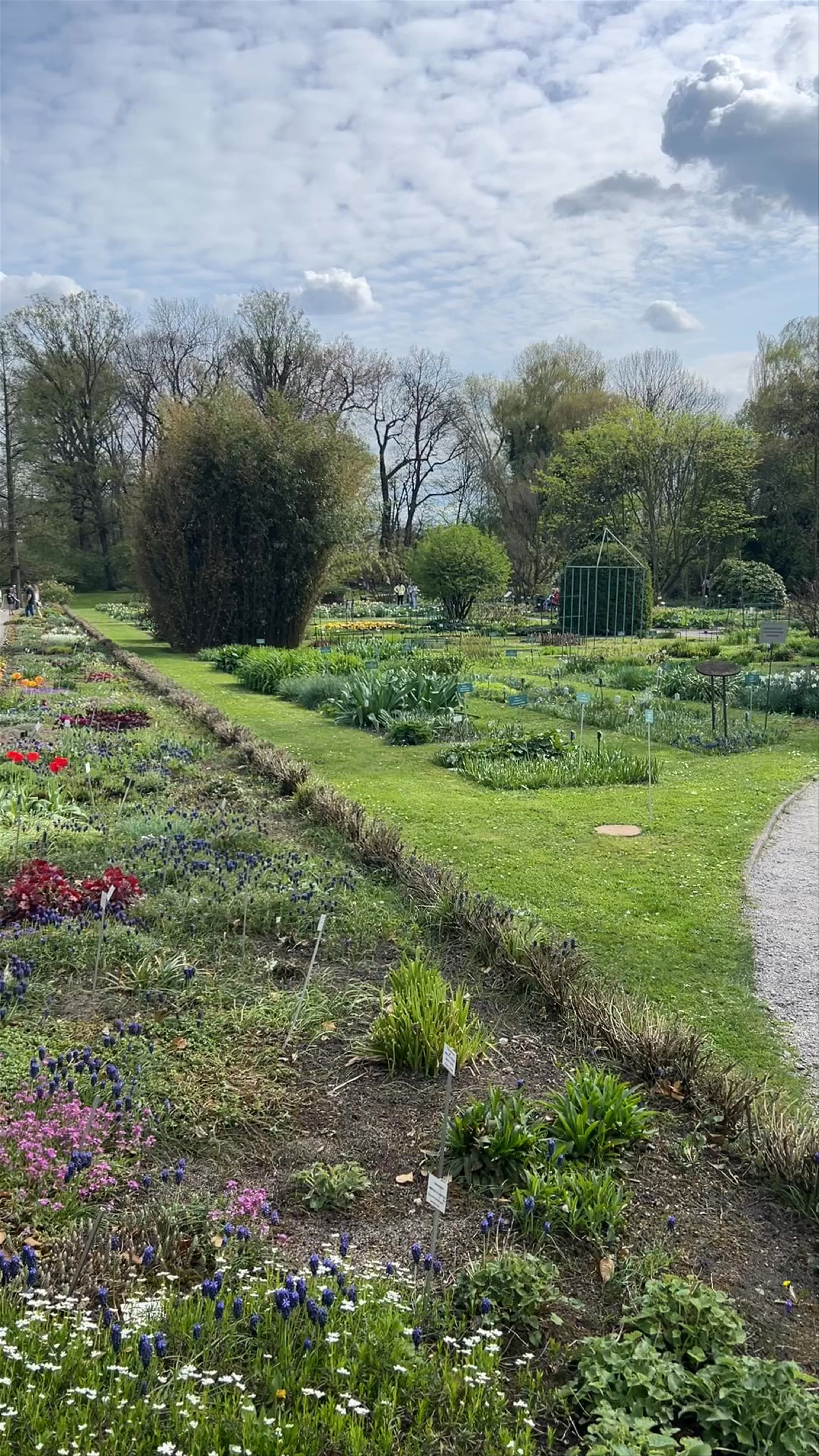 Spring in the Botanical Garden of the Jagiellonian University, Kraków