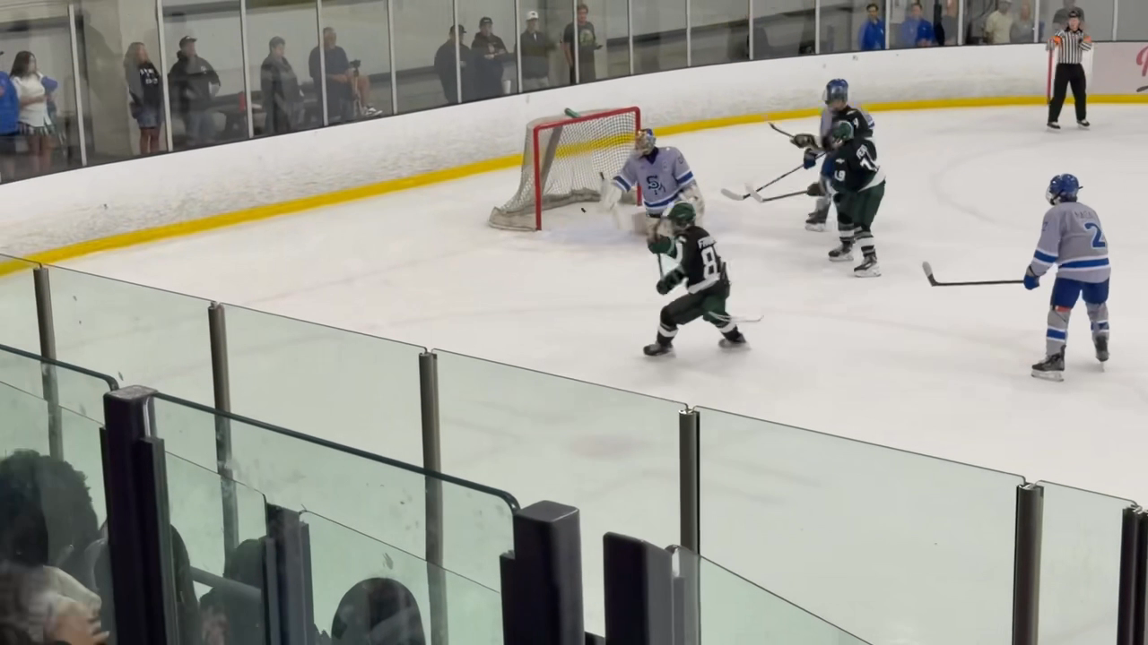 Paul Franklin's PP Goal: Zone Entry
