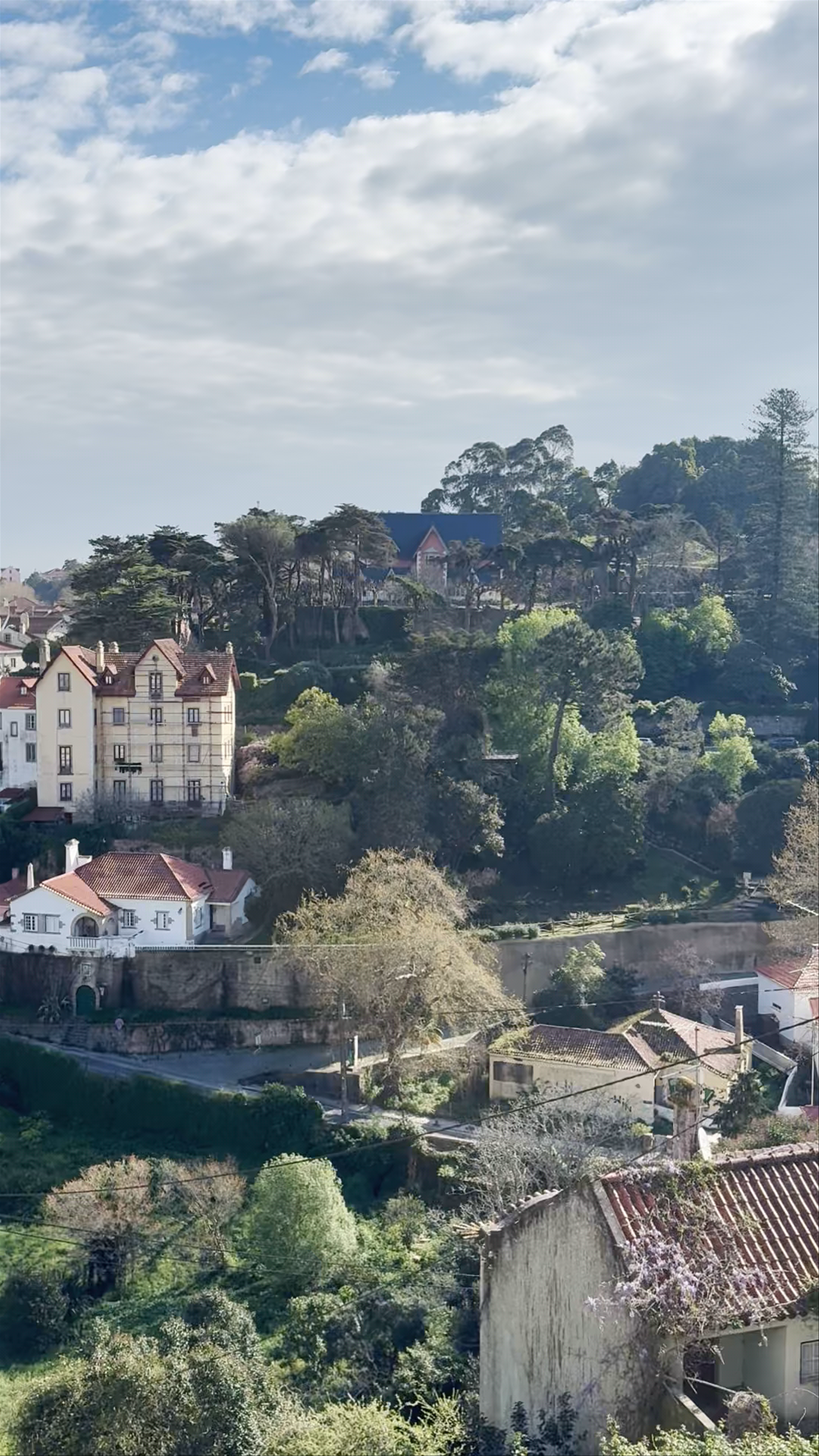 Palácio Nacional de Sintra