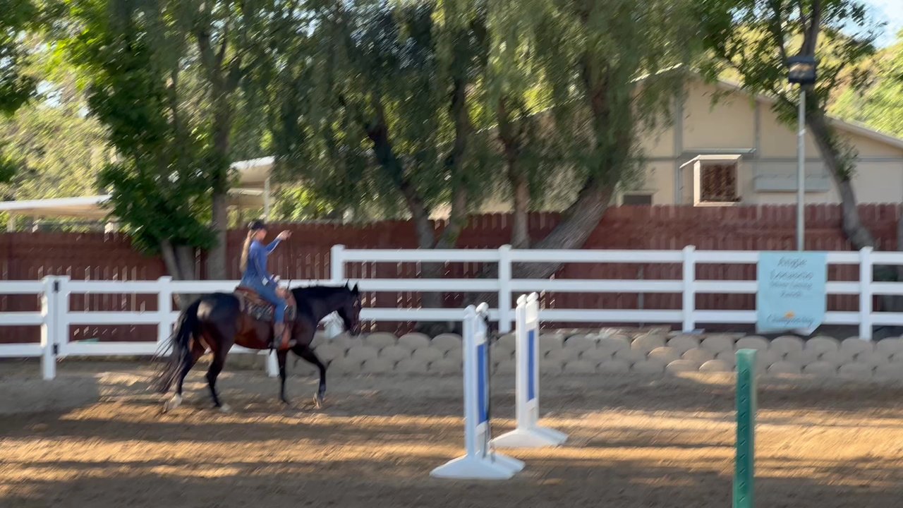 Silver Lining Ranch - Loping lesson with Bailey. - Horseback Riding Near Me