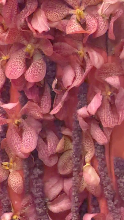 Bouquets to Art - Art Galleries Near Me - San Francisco, California