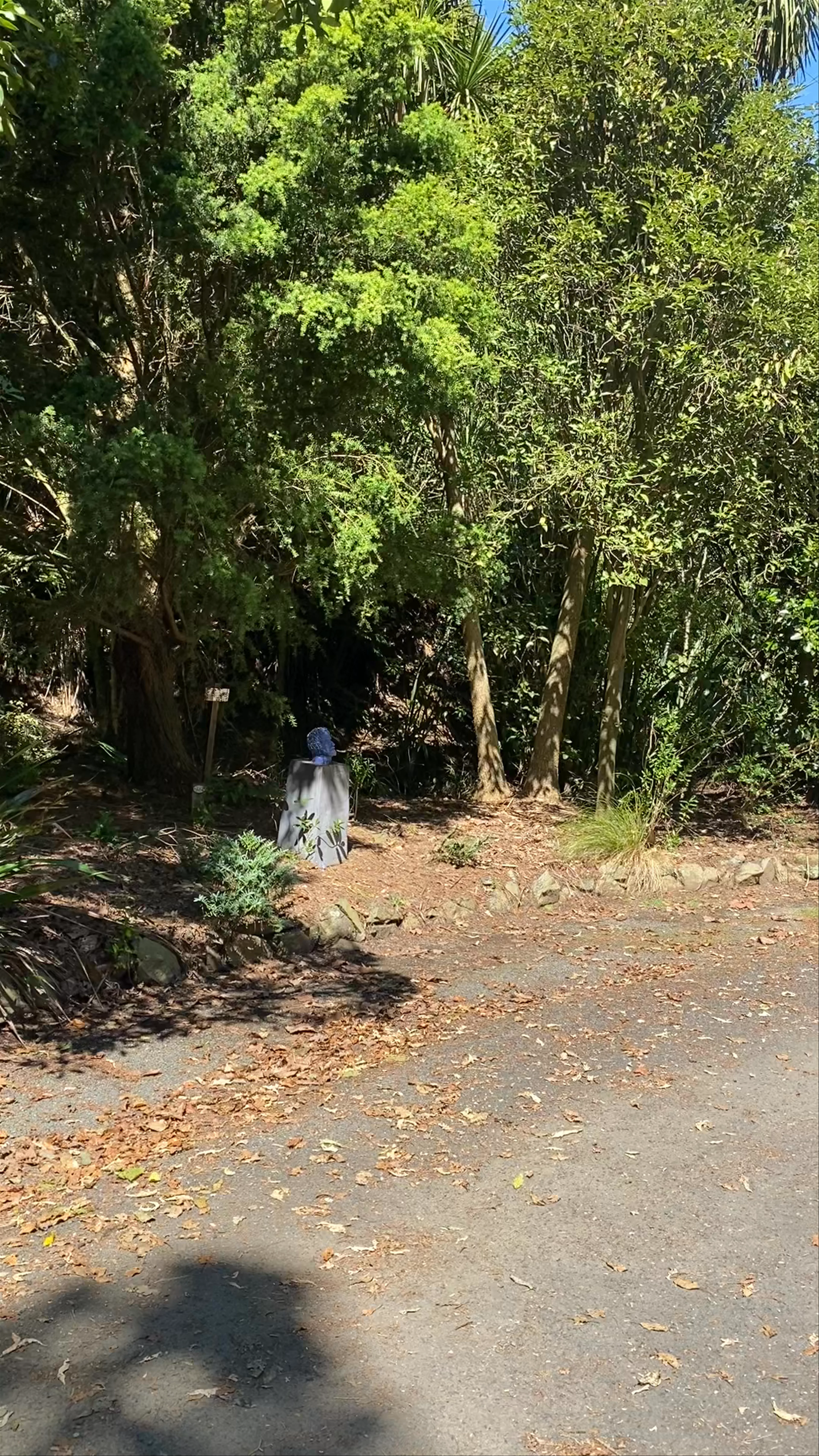 The Sculpture Park at Waitakaruru Arboretum