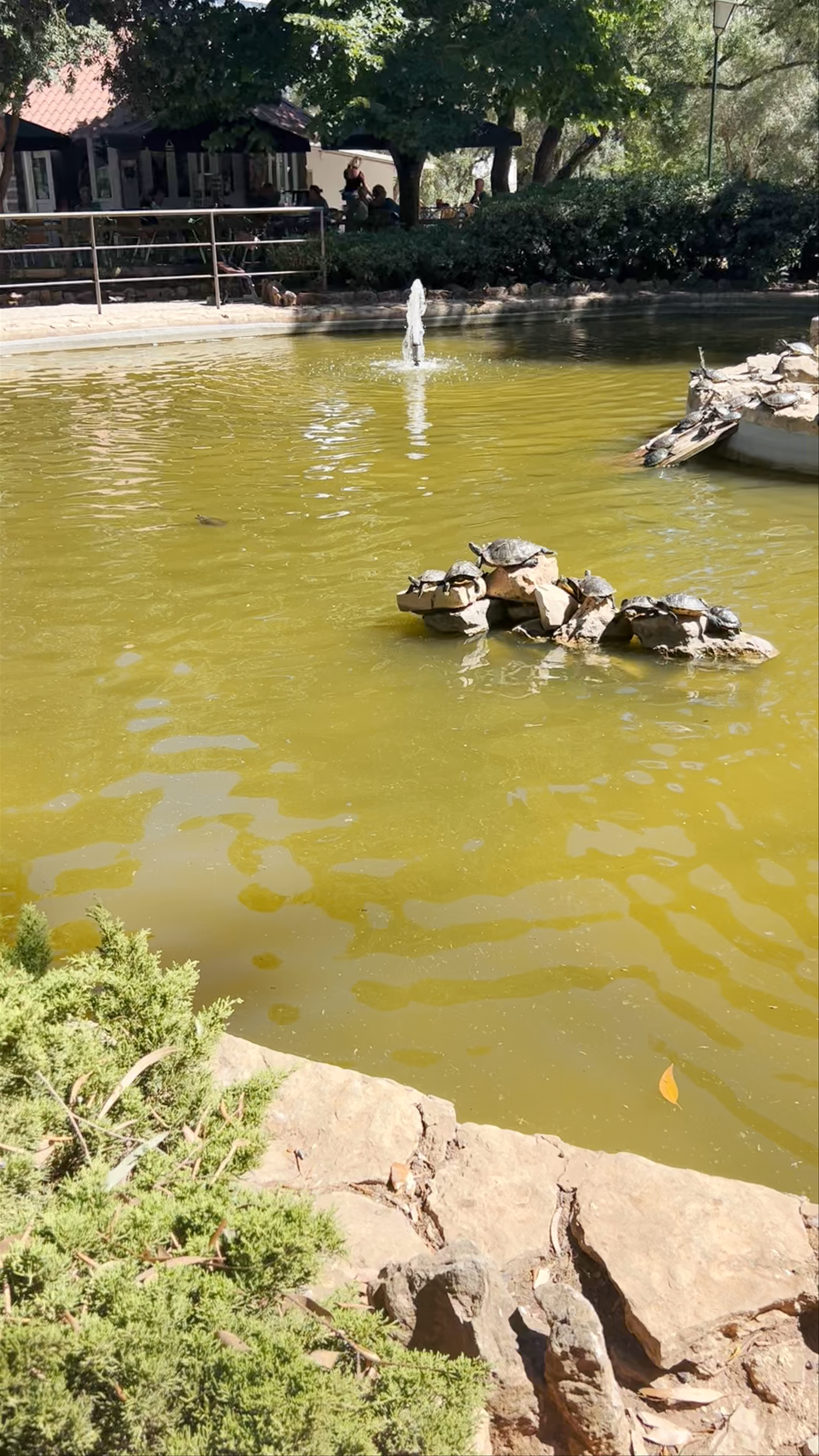 Parque Marechal Carmona