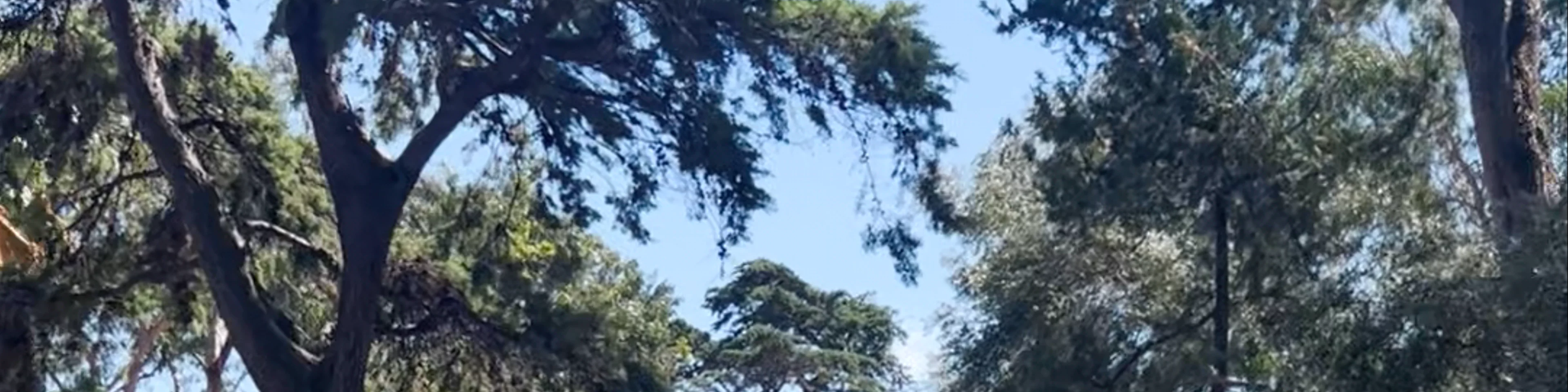 Parque Marechal Carmona