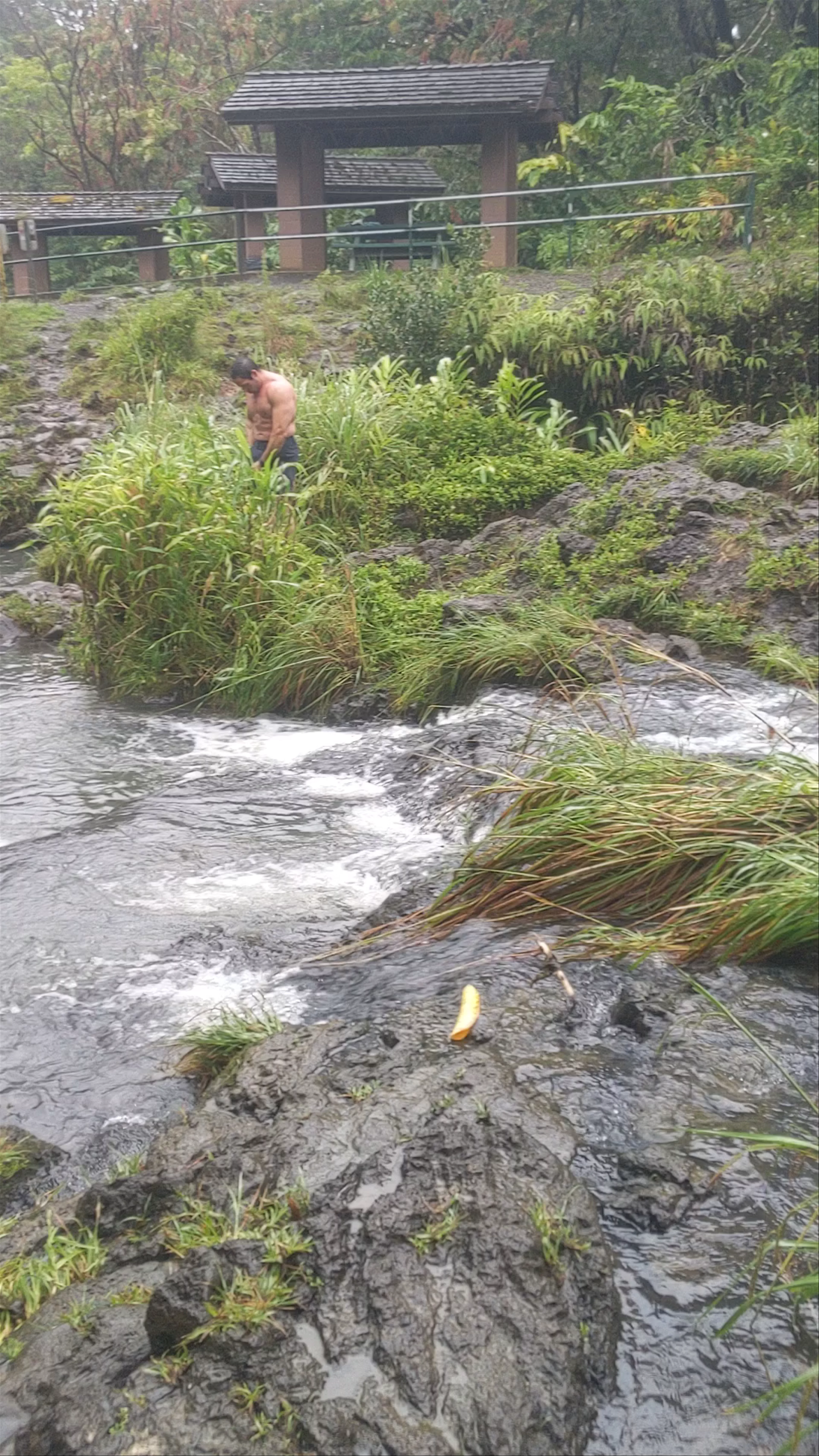 Pua'a Ka'a Falls, Hana Highway