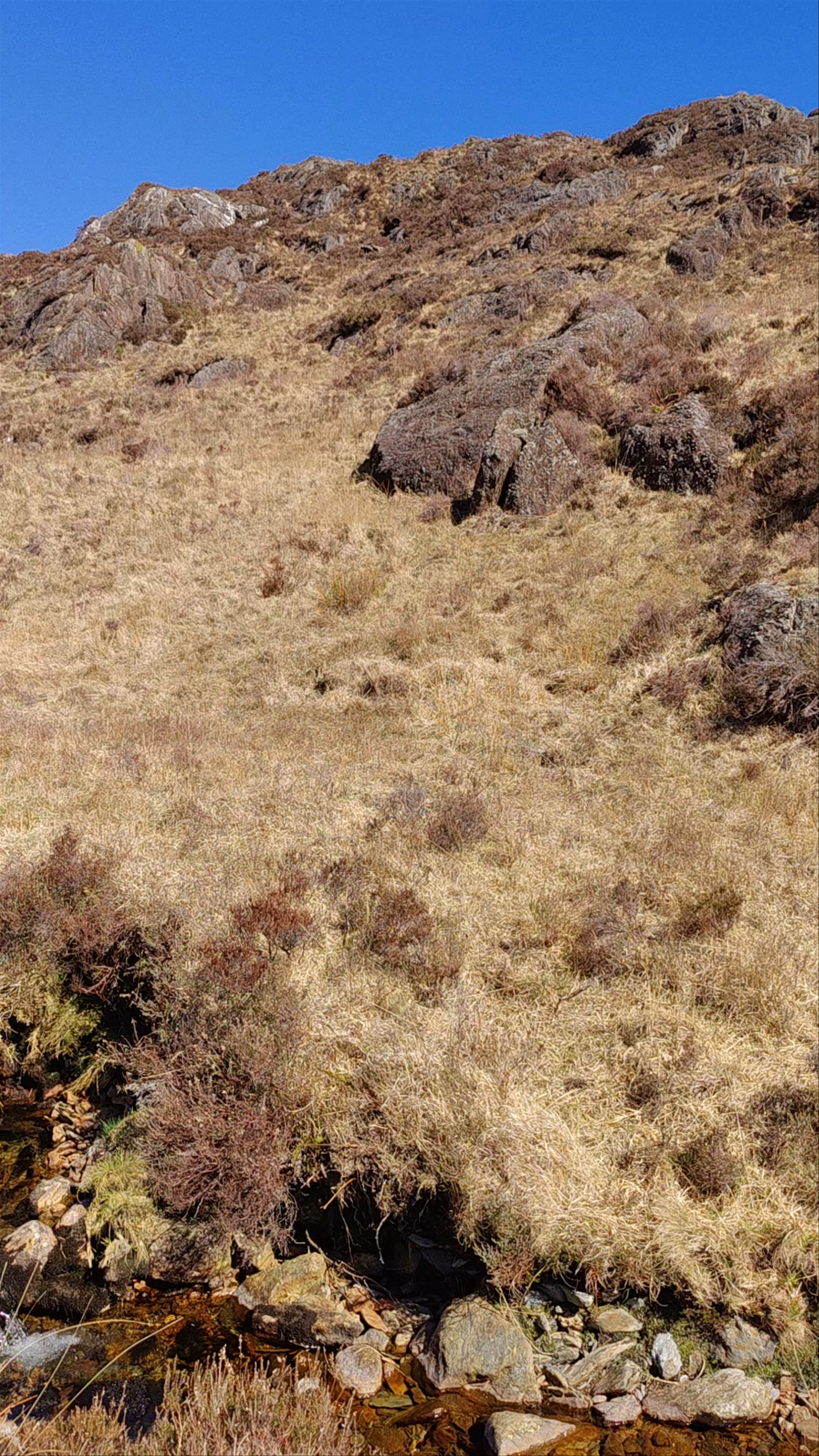 Craflwyn Nature Reserve