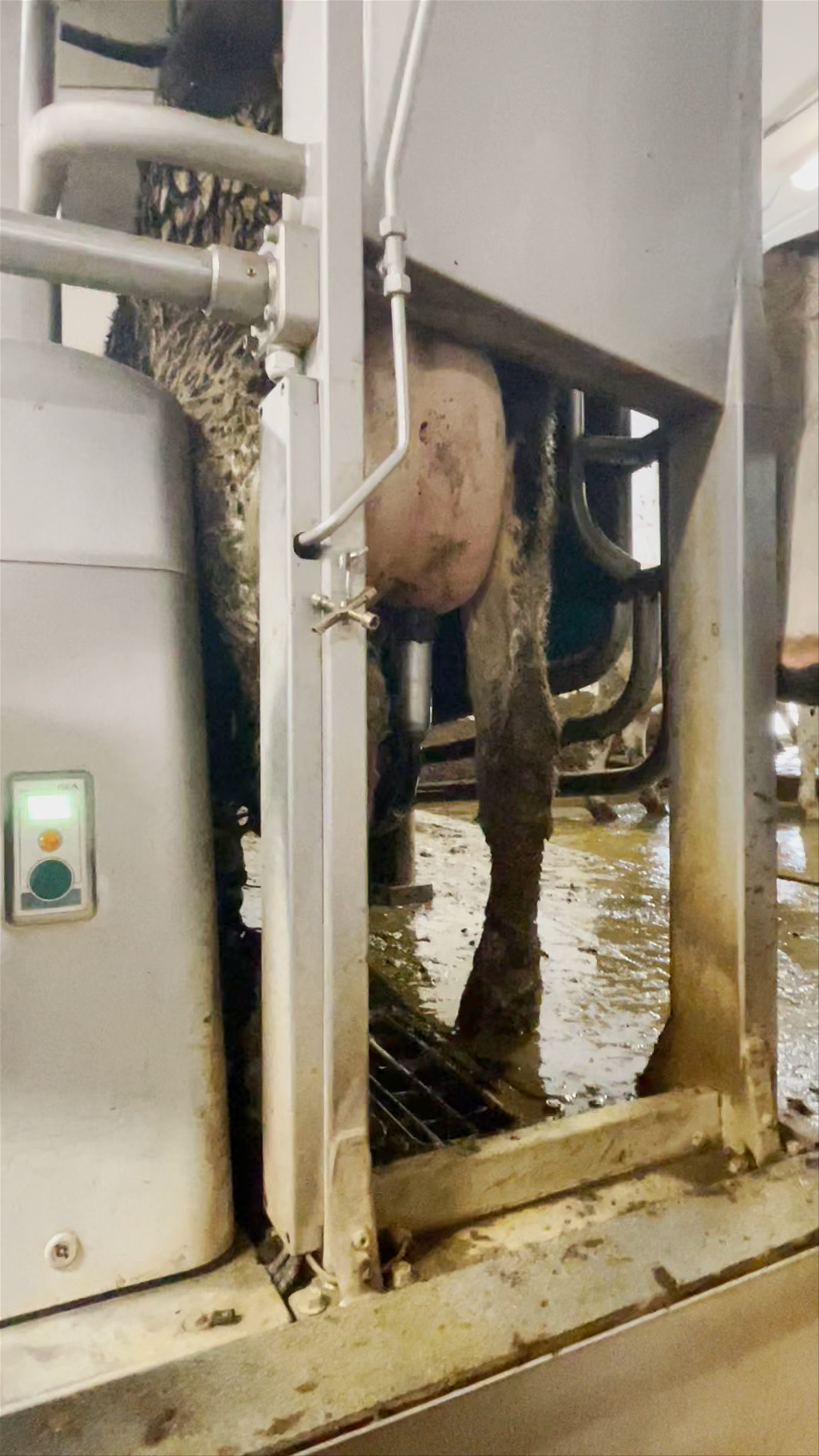 Heber Valley Milk & Artisan Cheese