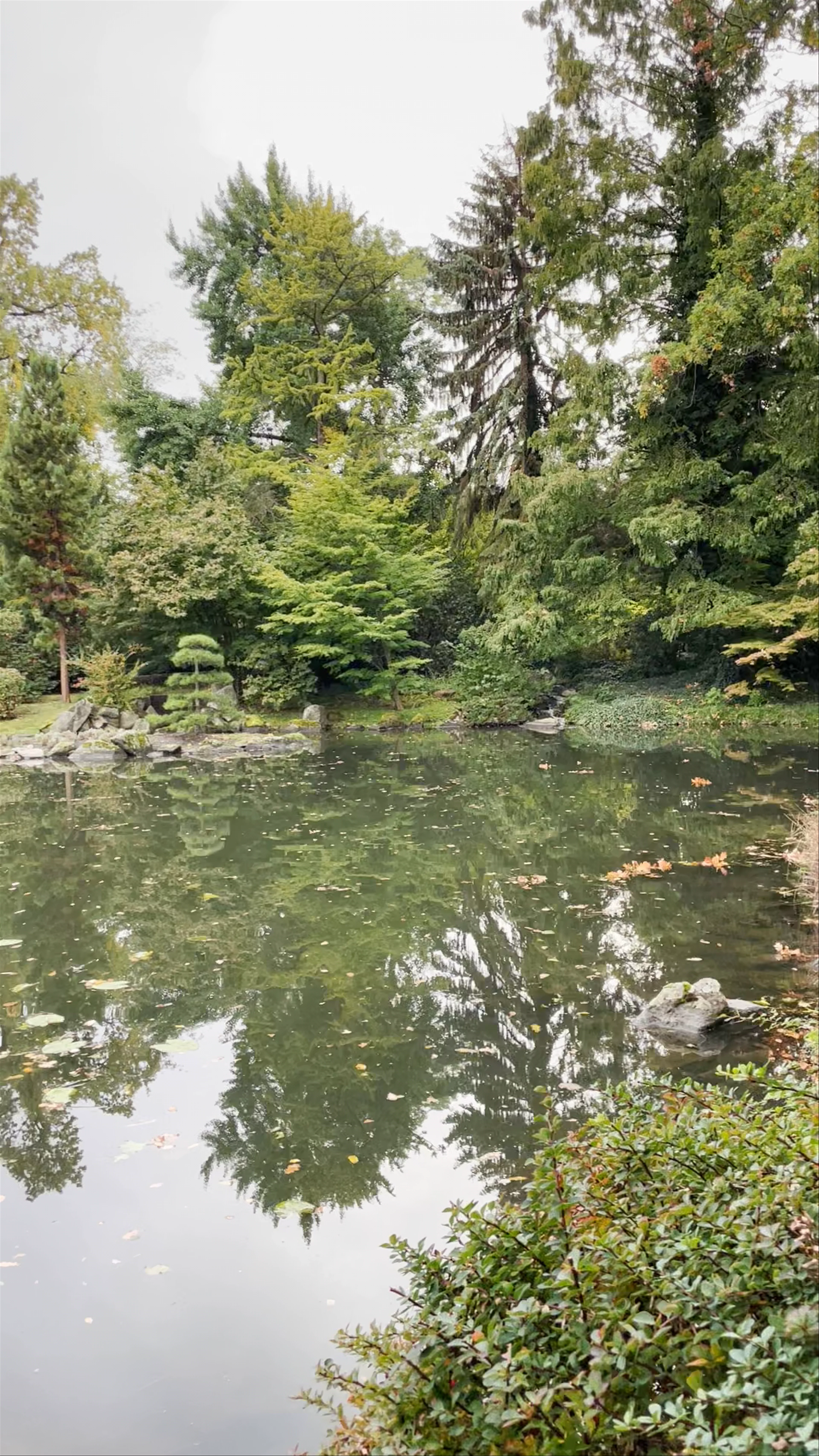 Japanese Garden, Adama Mickiewicza, Wrocław