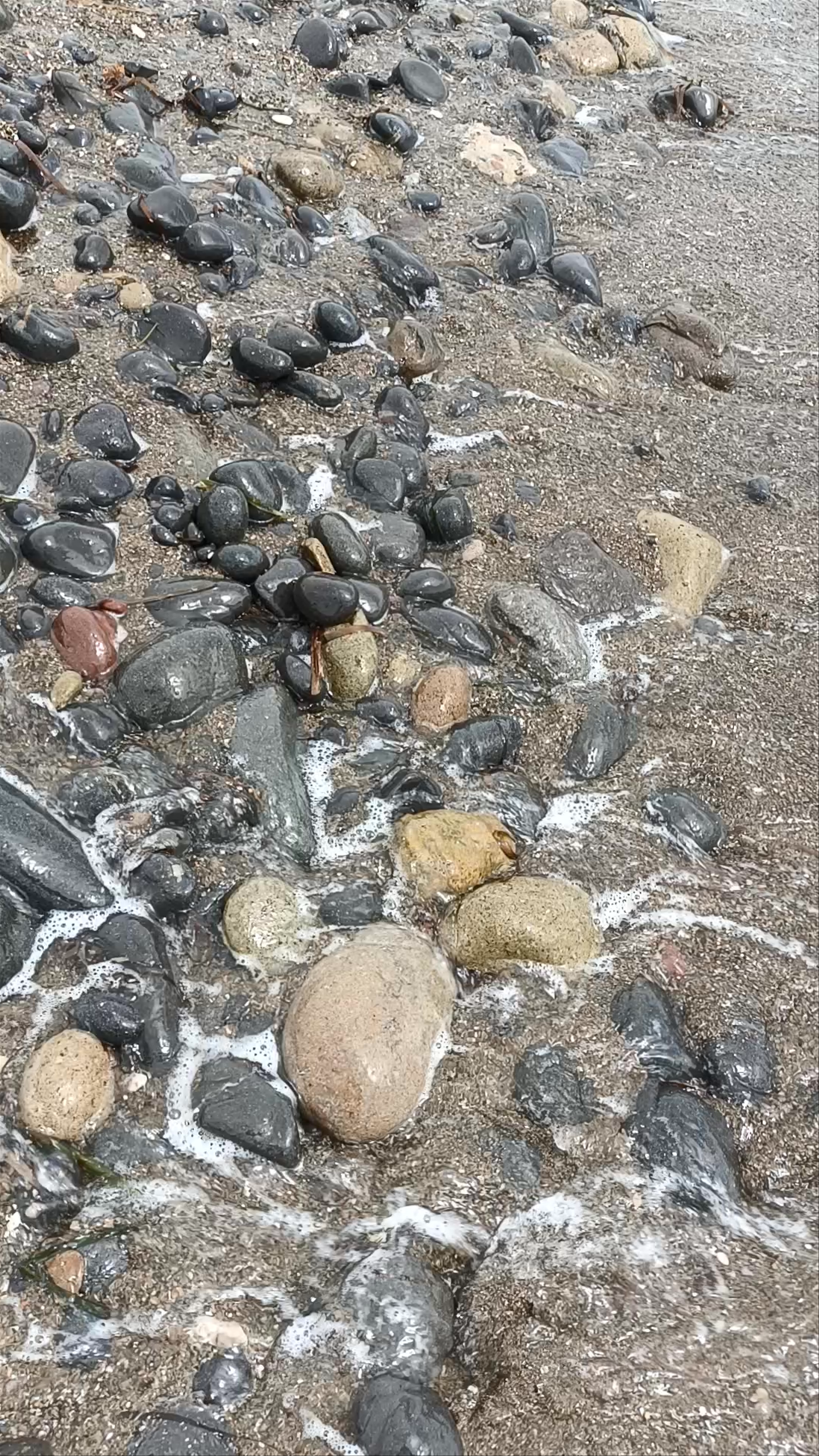 Playa de Las Negras