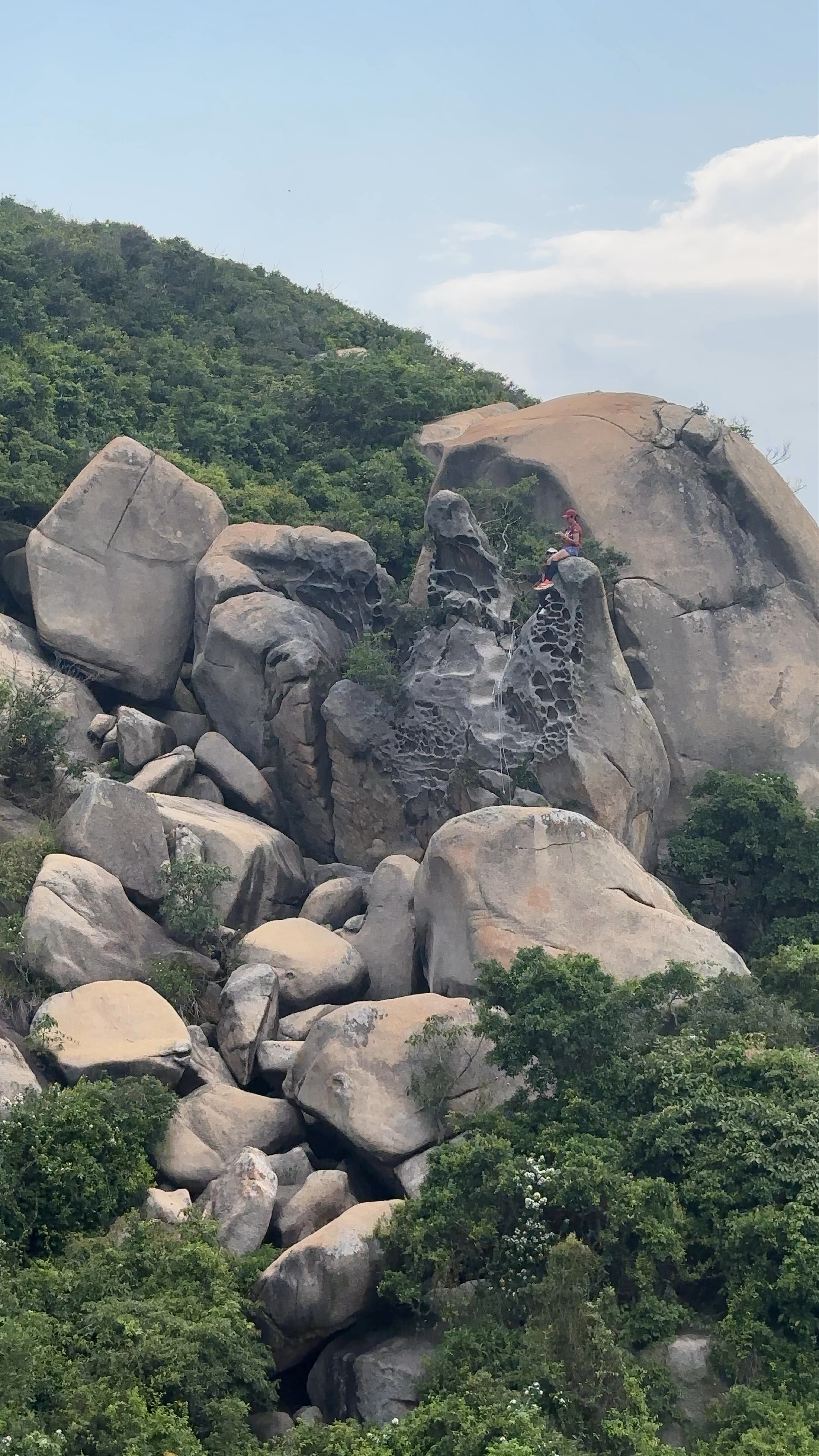 Devil's Paw / Devil's Claw