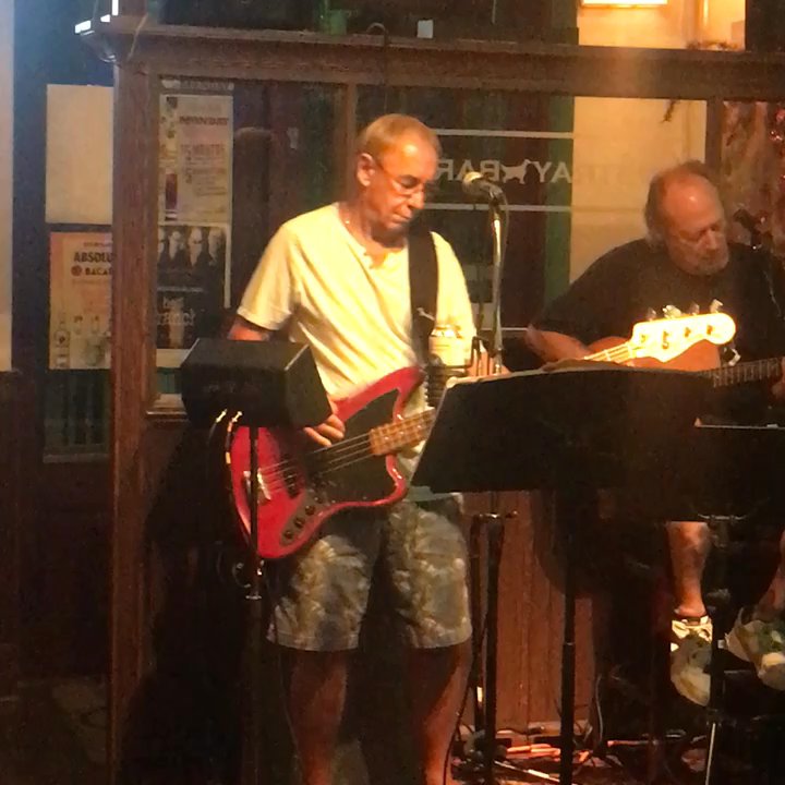 The Stray Bar - Live music! - Bars Near Me - Frankfort, Illinois