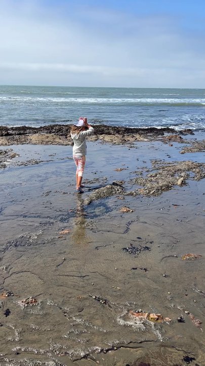 Agate Beach Park - Exploring - Beaches Near Me - Bolinas, California