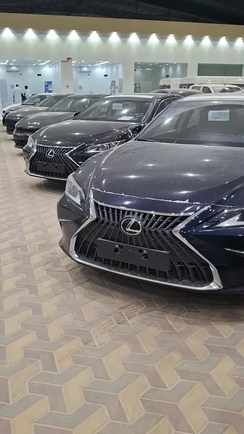 Lexus ES 250 aa elegant 2025