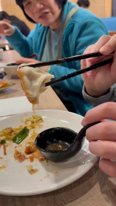 Dumplings Family - The pork pot stickers so juicy! - Dim Sum Near Me - Berkeley, California