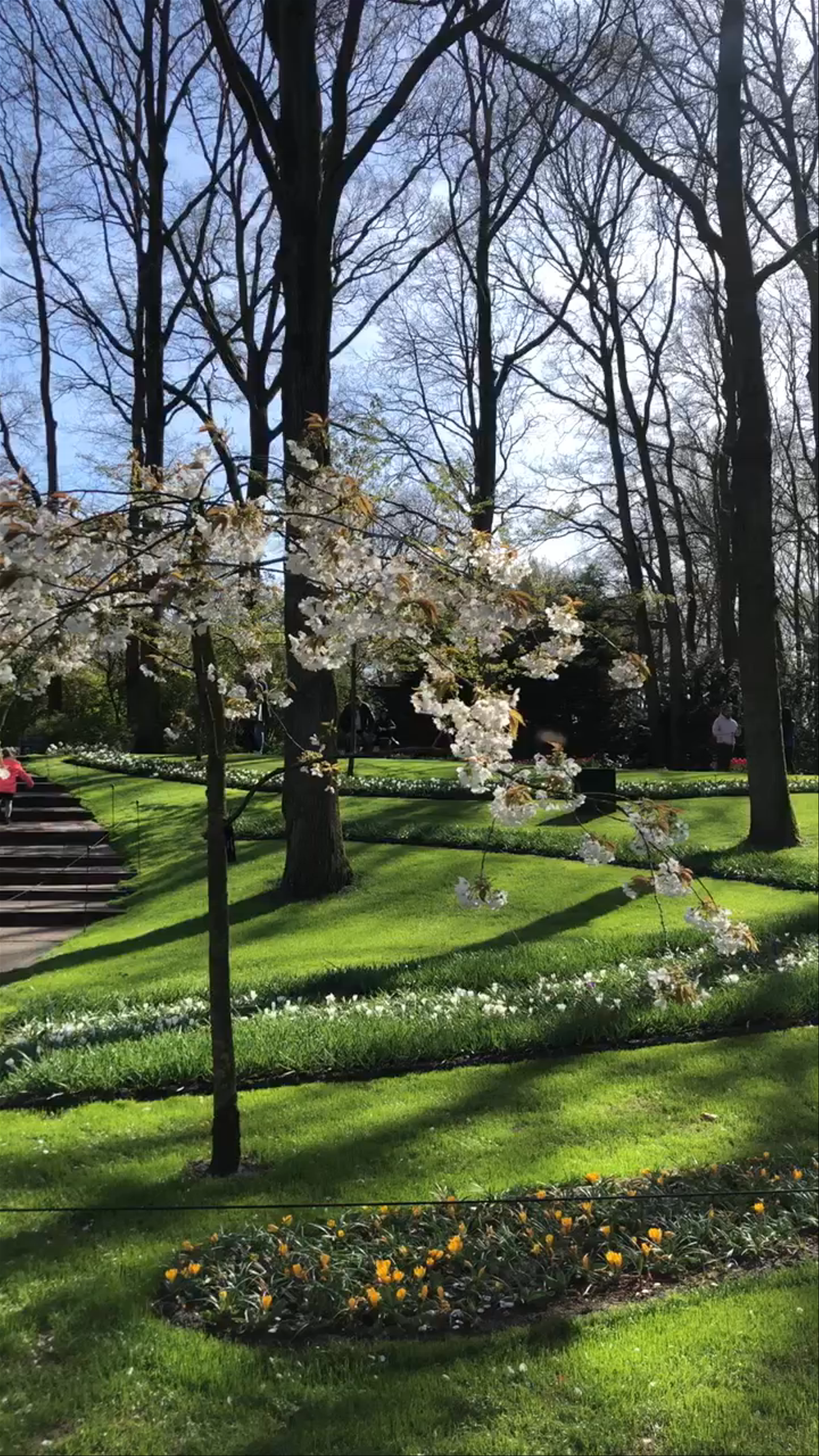 Keukenhof
