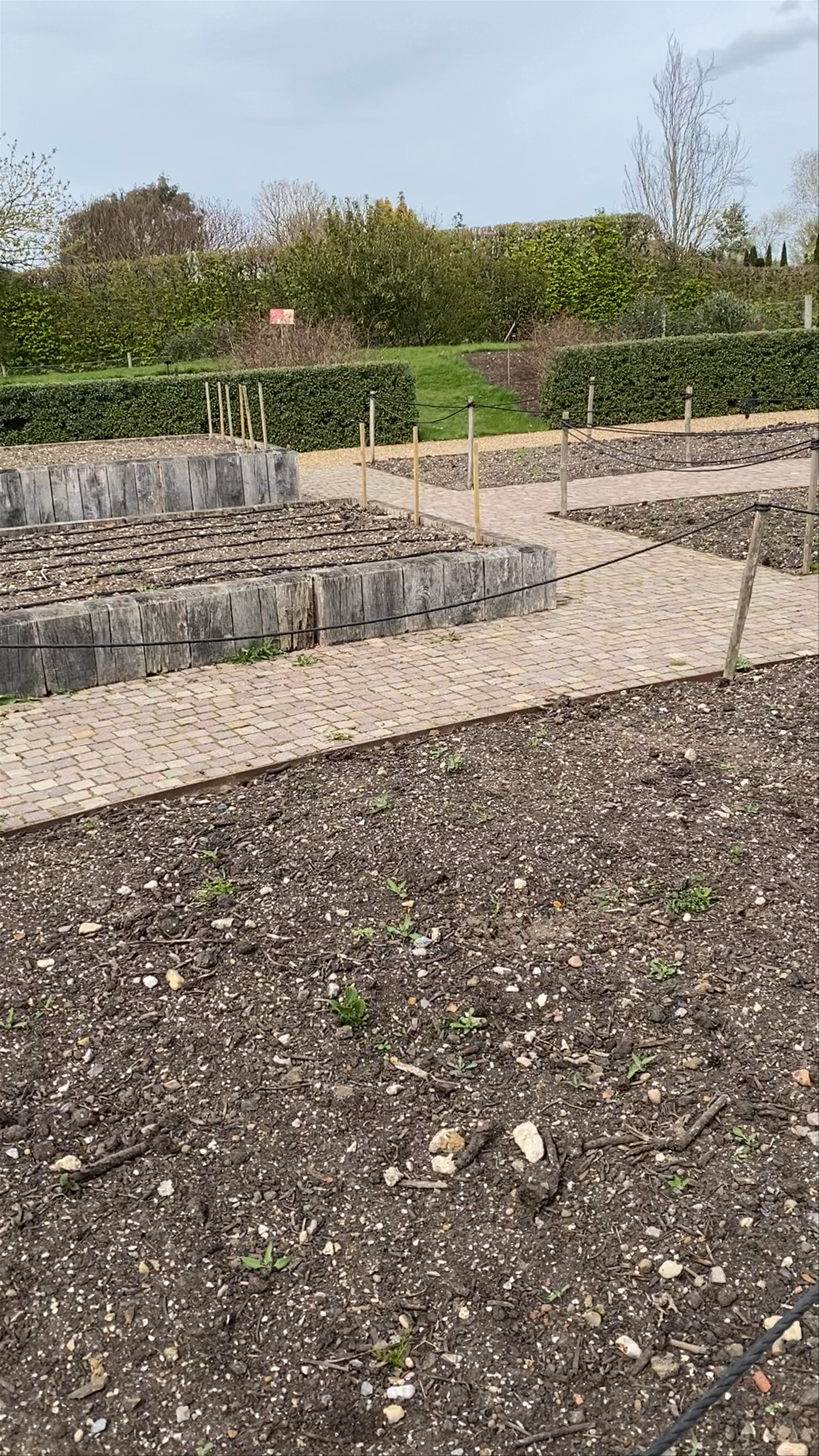 Spring Awakening at RHS Garden Hyde Hall: A Serene Botanical Stroll