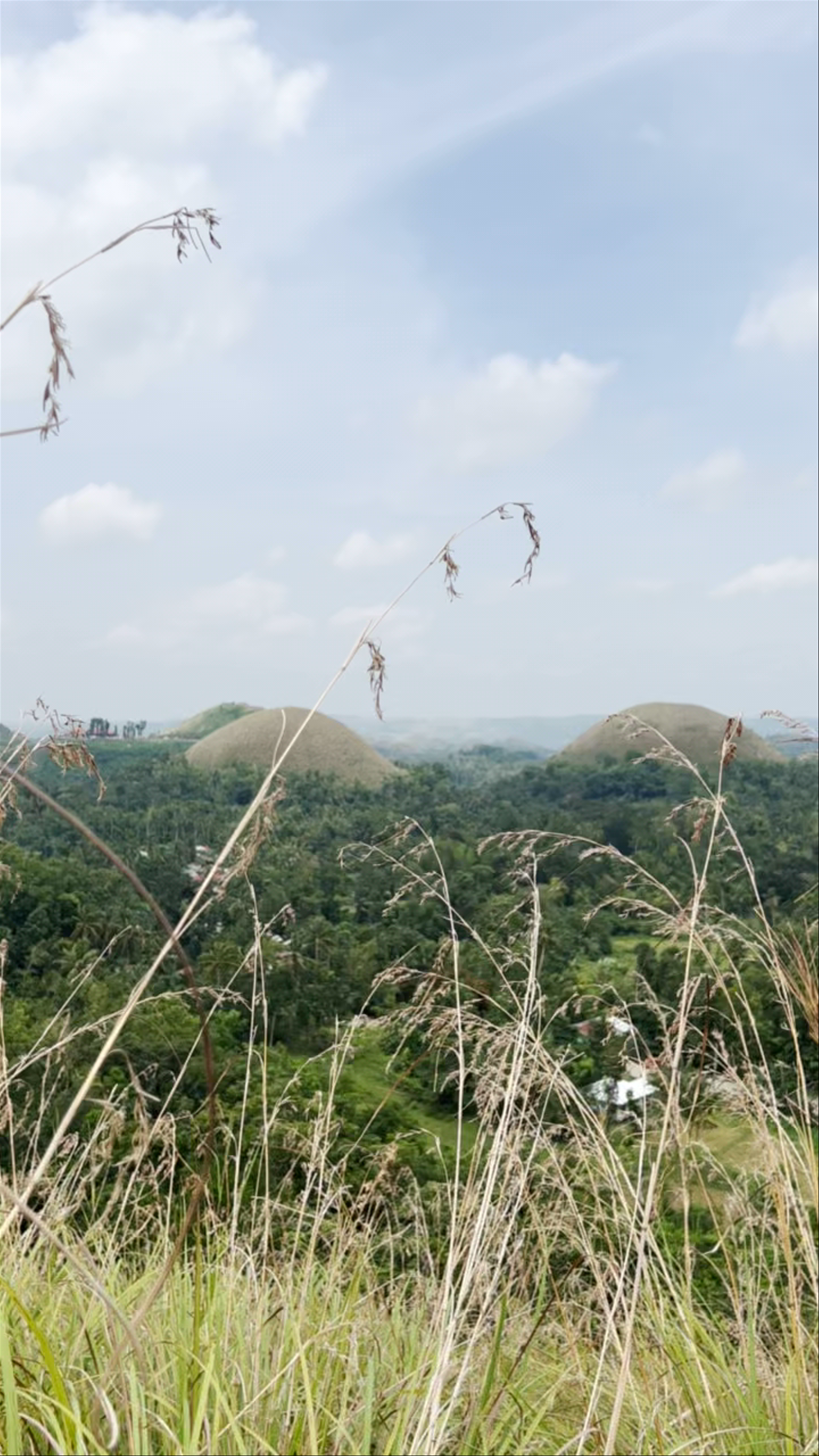 Chocolate Hills