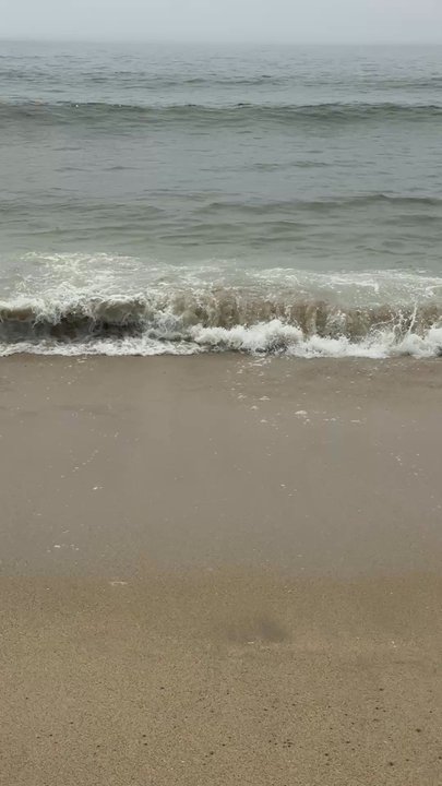 Venice Beach - Beaches Near Me - Half Moon Bay, California