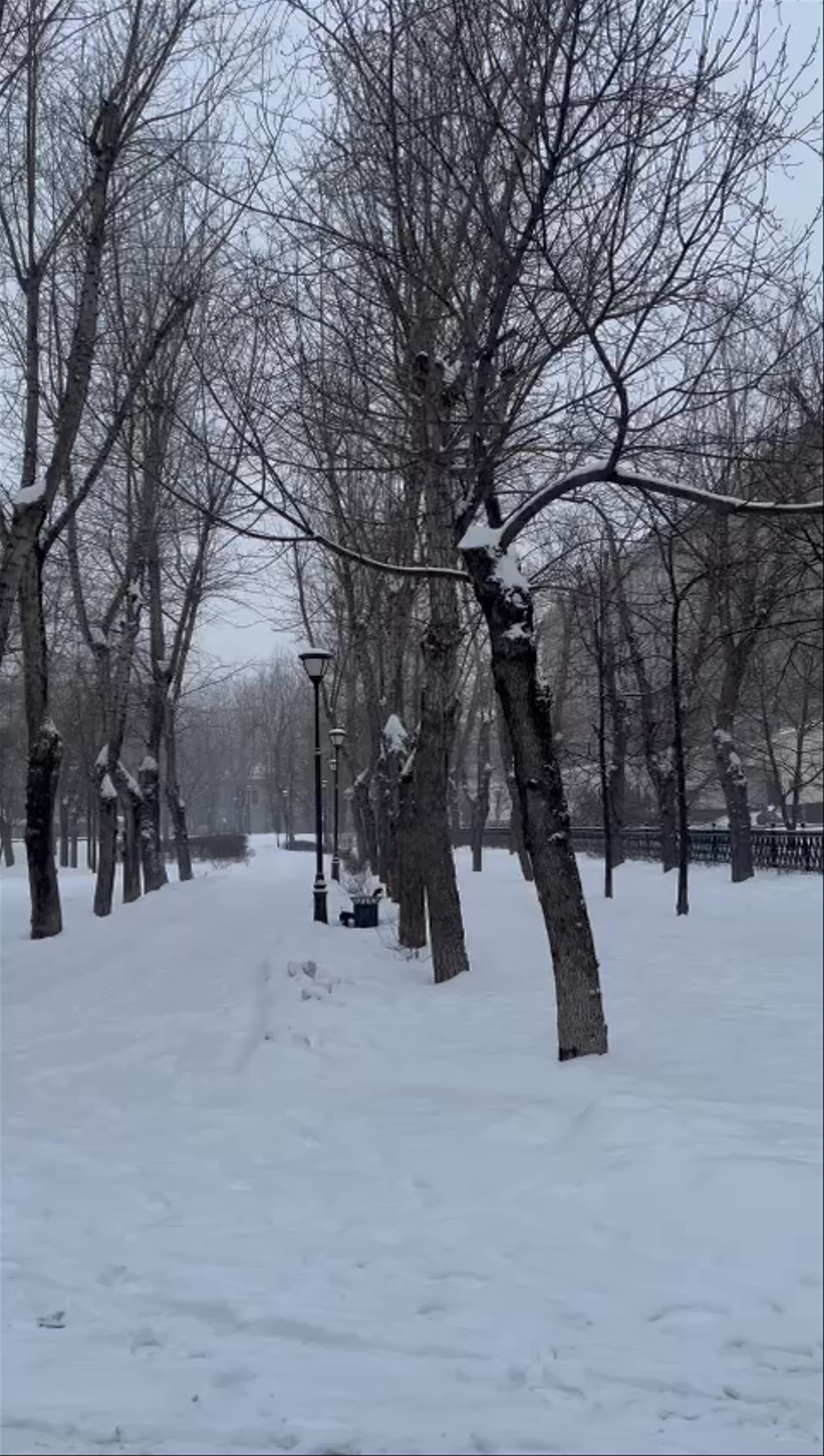 Devichye Polye Square