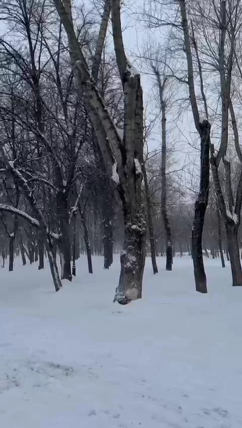 Devichye Polye Square