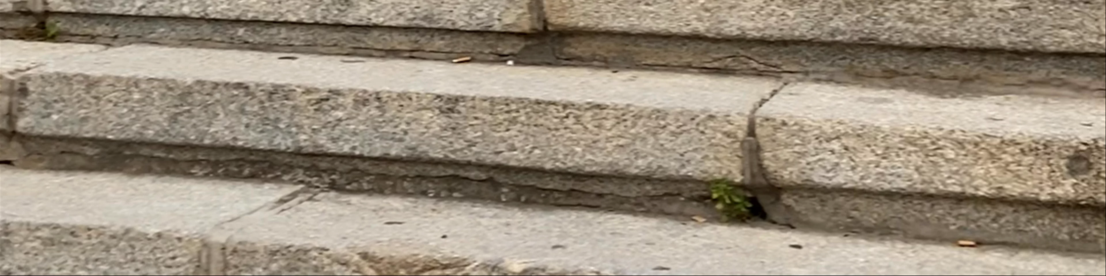 Escalinata del Óvalo
