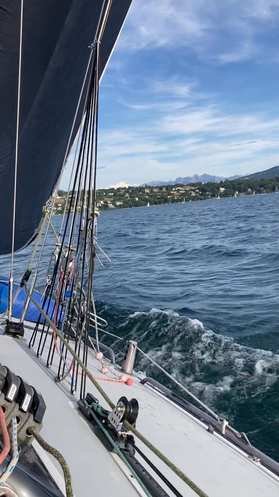 Laurie Ahn Strava Runner Profile