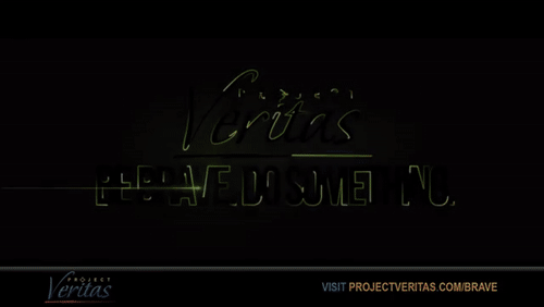 Video Thumbnail Loop