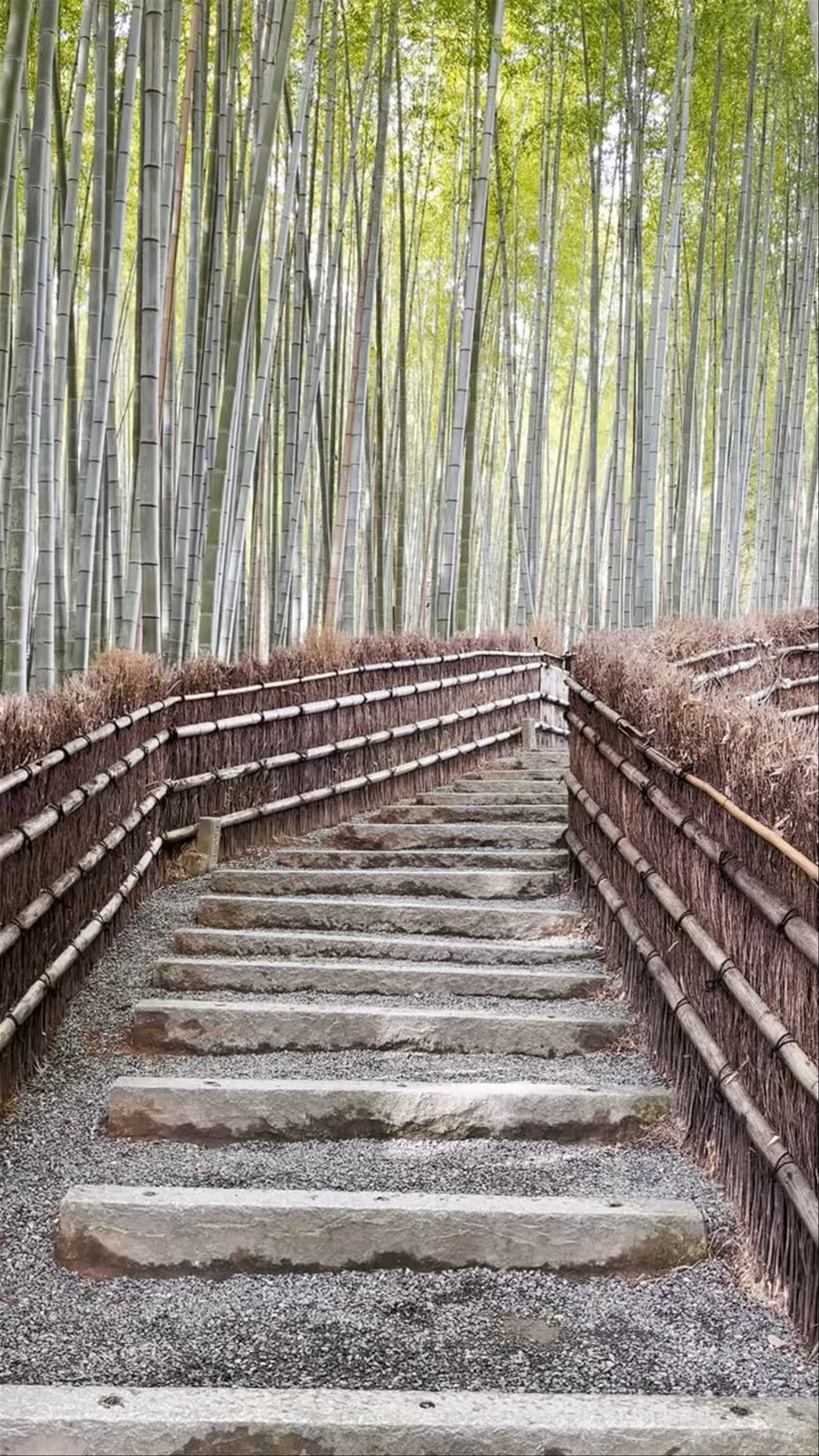 Adashino Nenbutsuji Temple