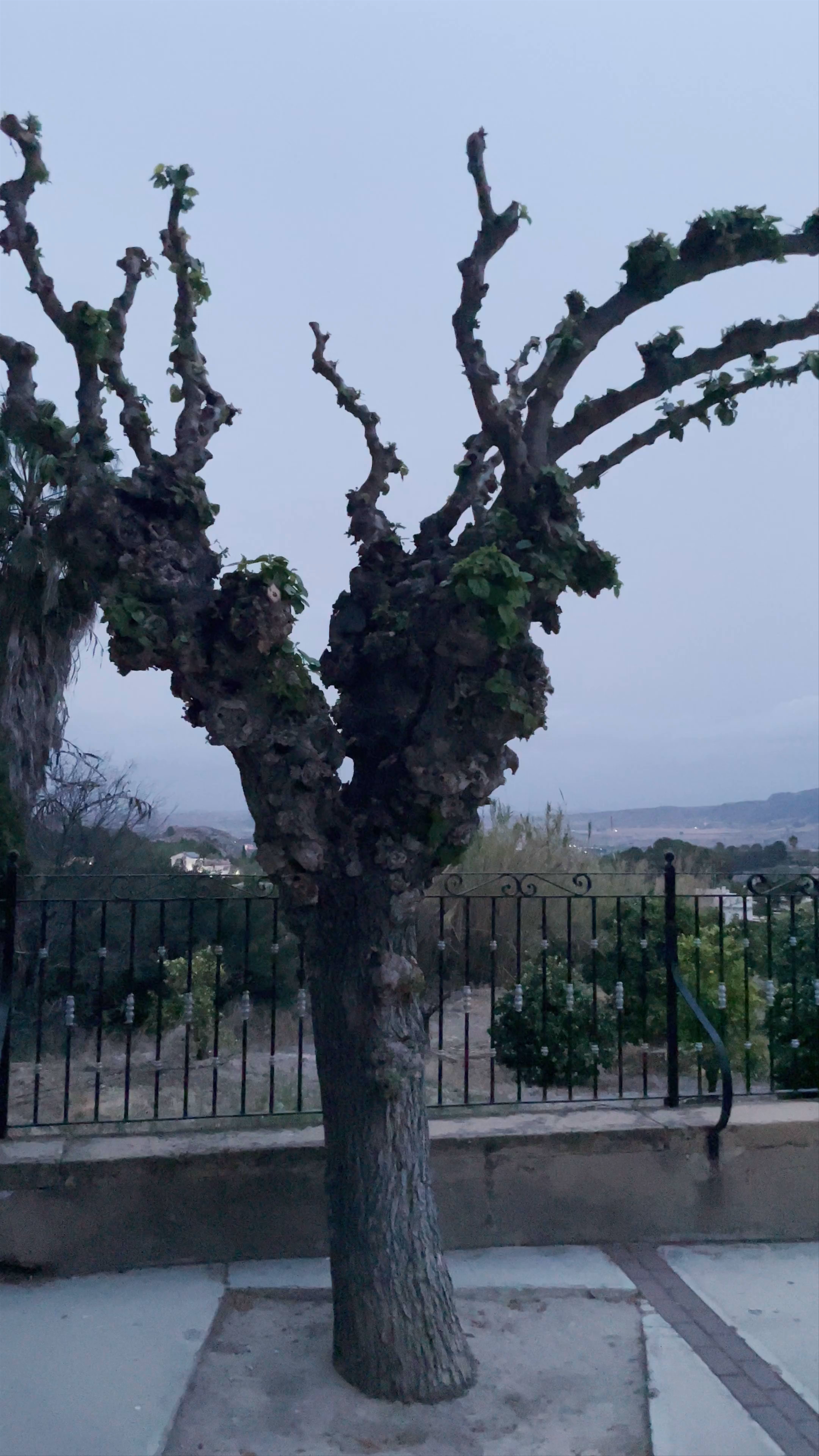Santuario del Niño Jesús de Balate: Twilight Serenity in Mula, Spain