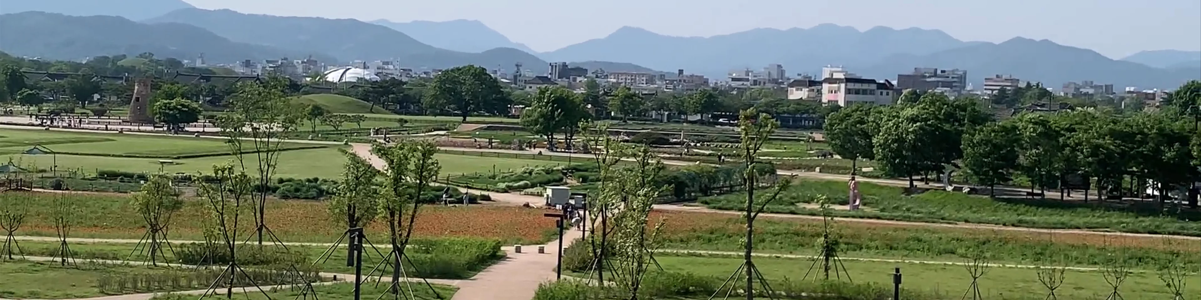 Gyeongju Historic Site Wolseong District