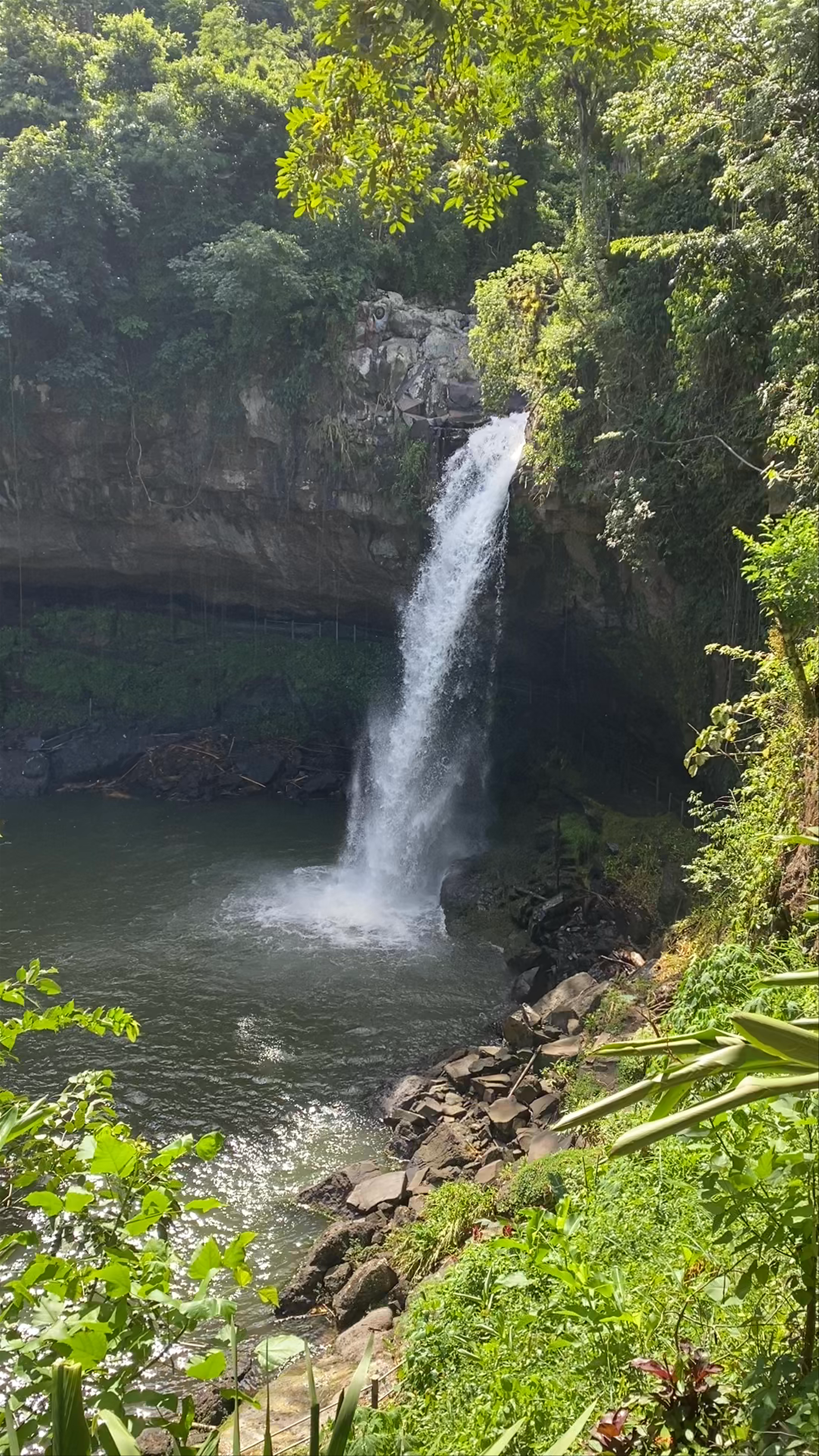 Eco-Lodge Cascada Blanca