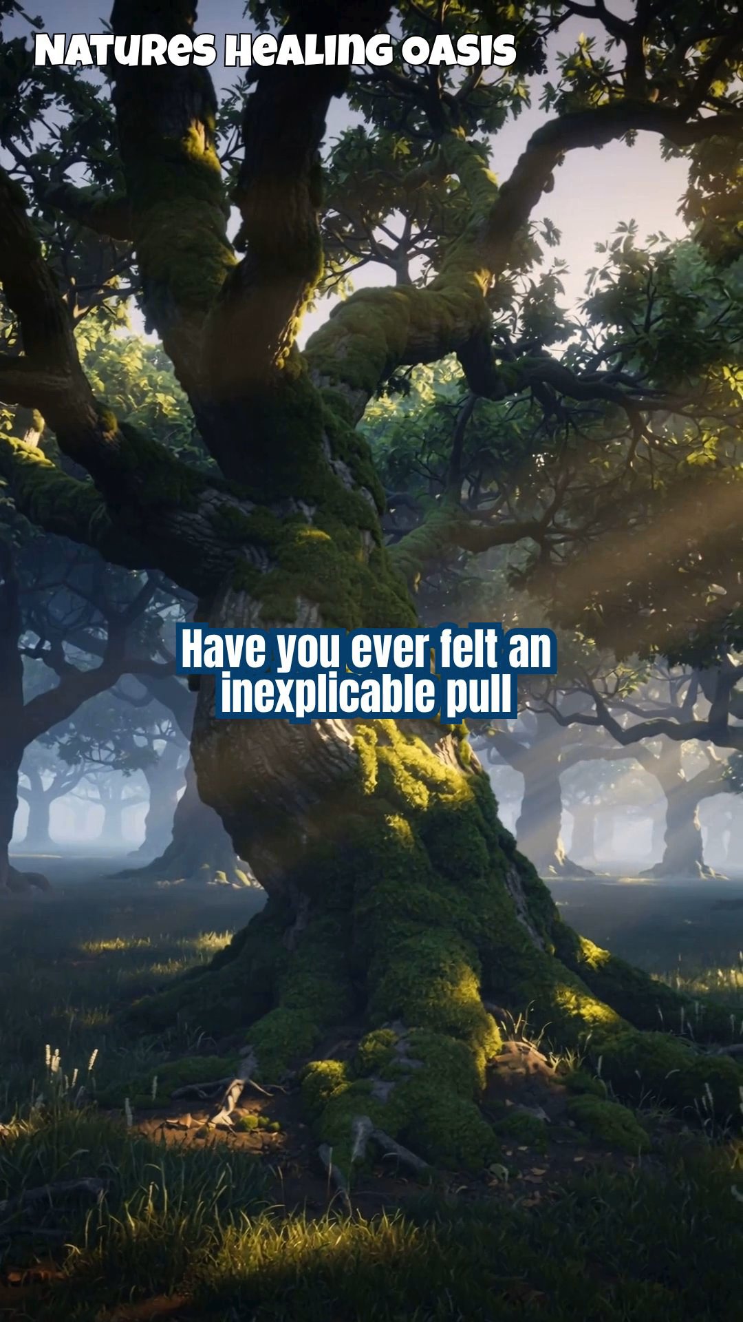 Unlocking Ancient Tree Groves: Sacred Power Spots Revealed