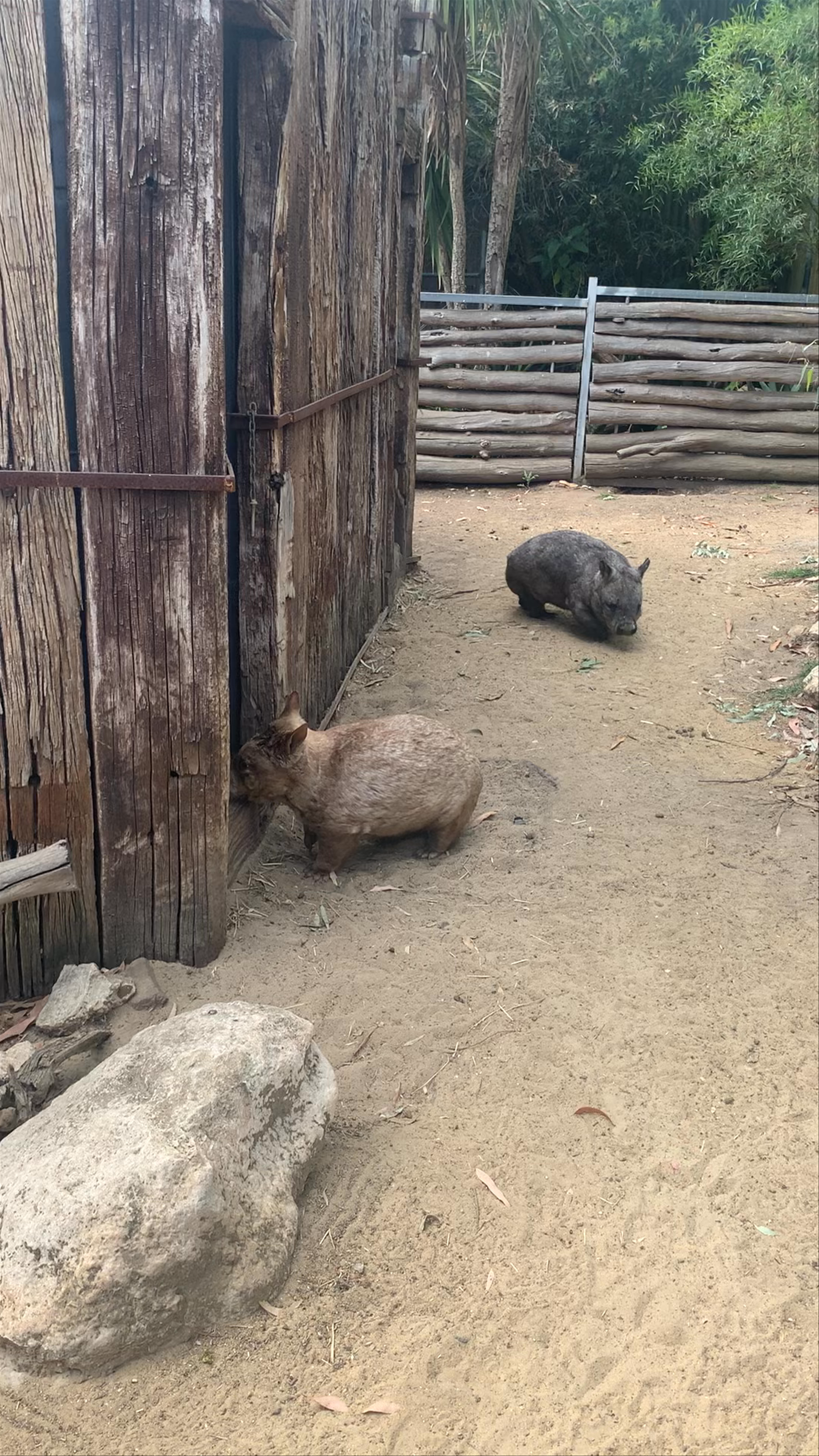 Gorge Wildlife Park