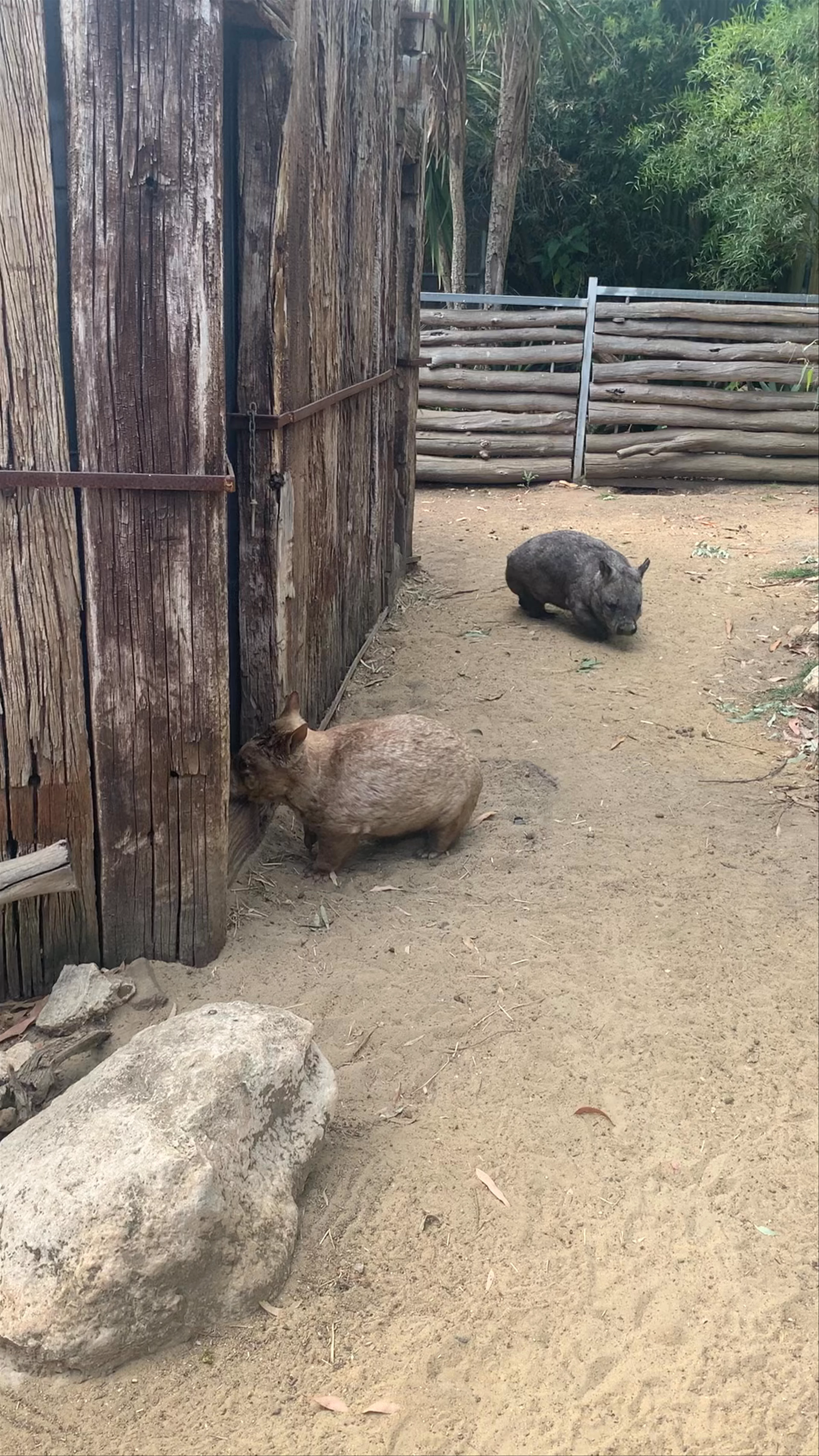Gorge Wildlife Park