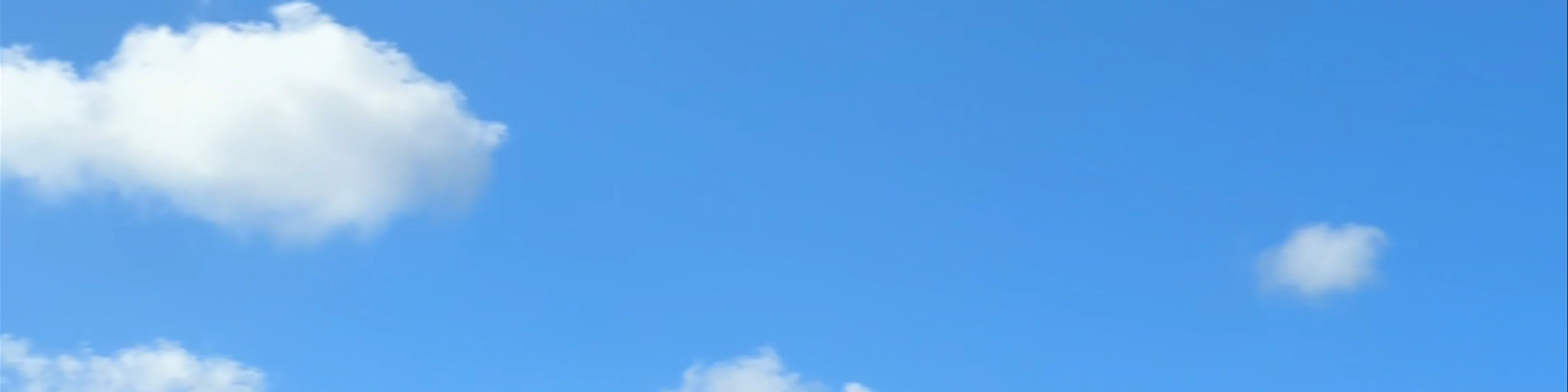 TV Tower