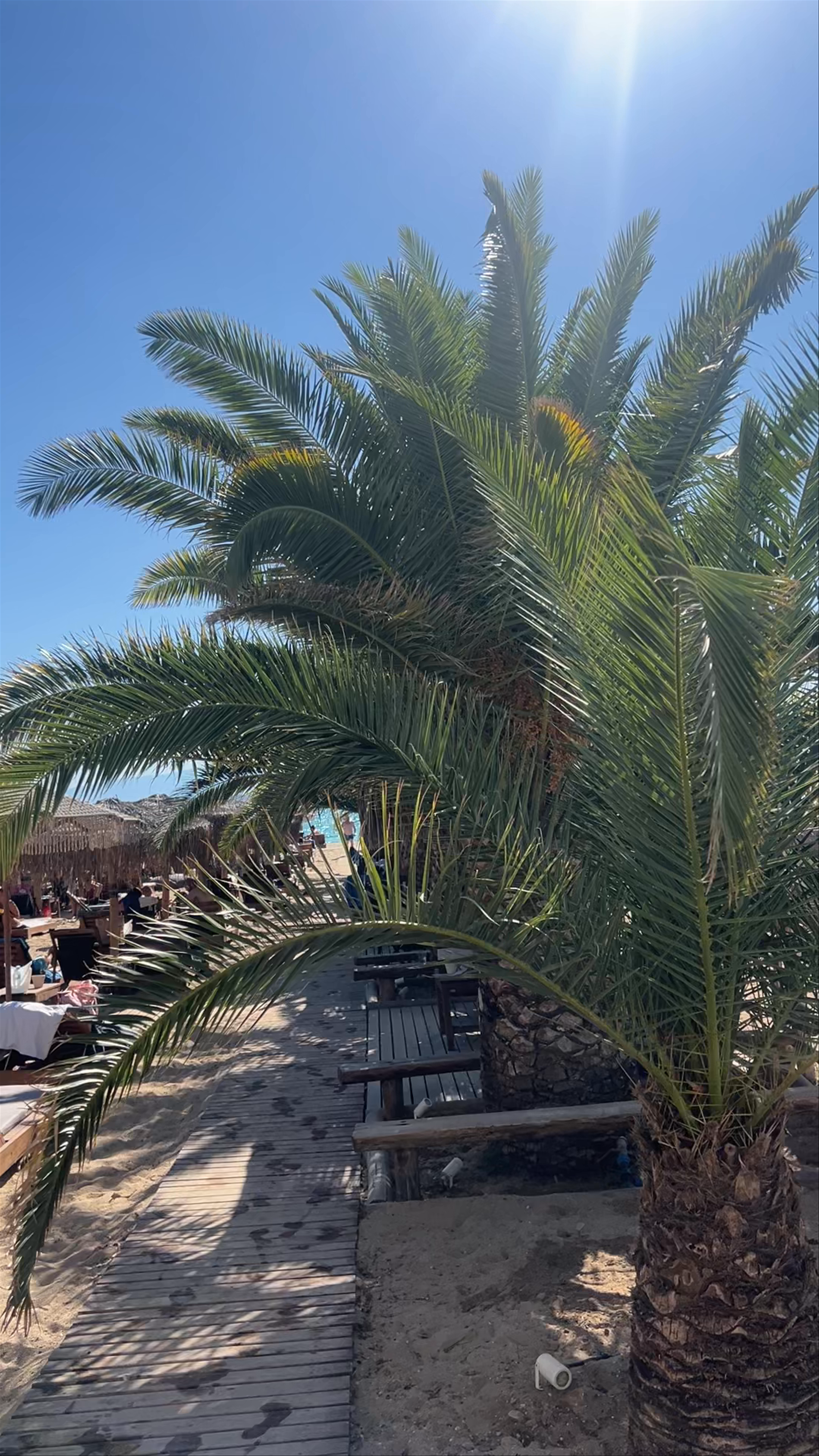 Sahara Resort