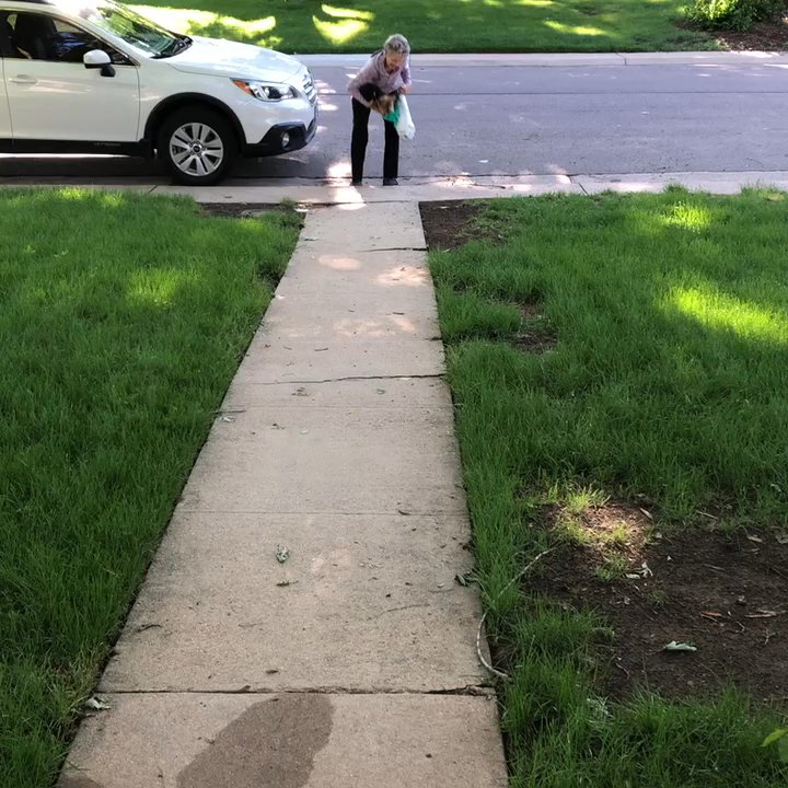 Pett Butler - Harley arriving for an overnight visit! - Pet Groomers Near Me - Denver, Colorado