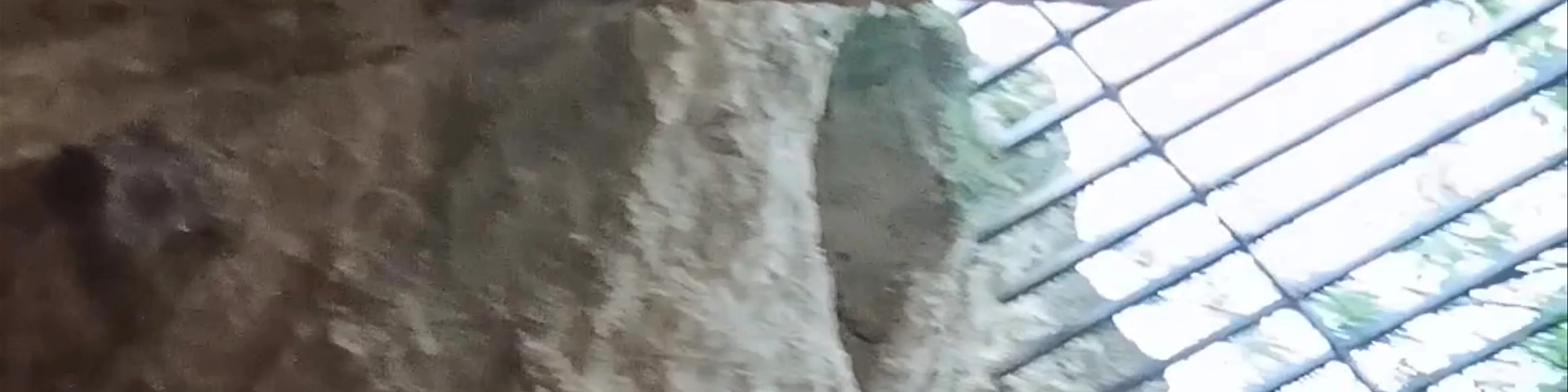 Las Cuevas del Marqués