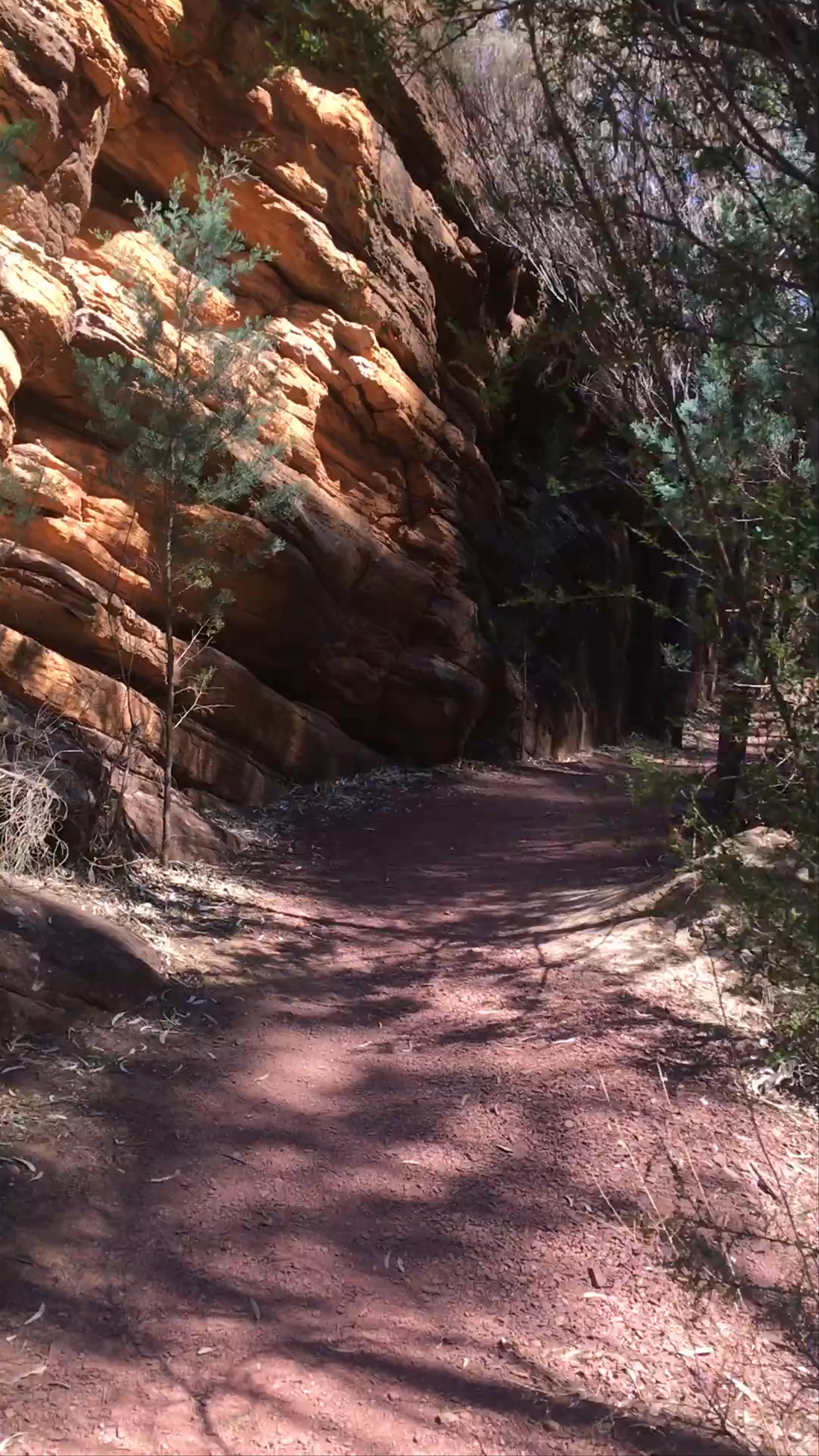 Flinders Ranges National Park