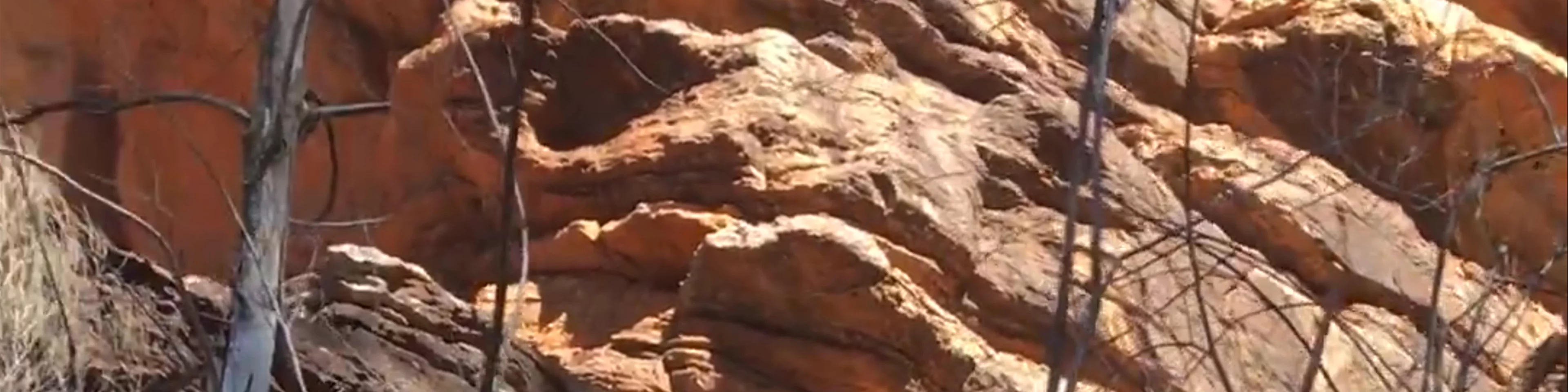 Flinders Ranges National Park