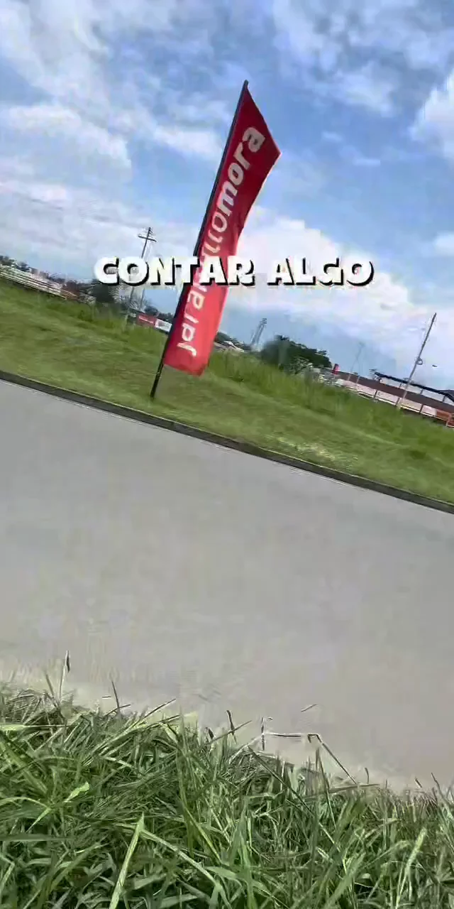 Contenido del creador