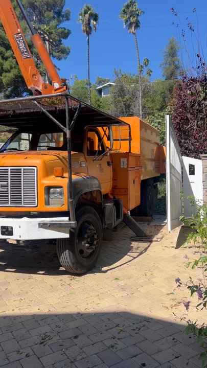 Tree King Tree Service - Tree Services Near Me - Los Angeles, California