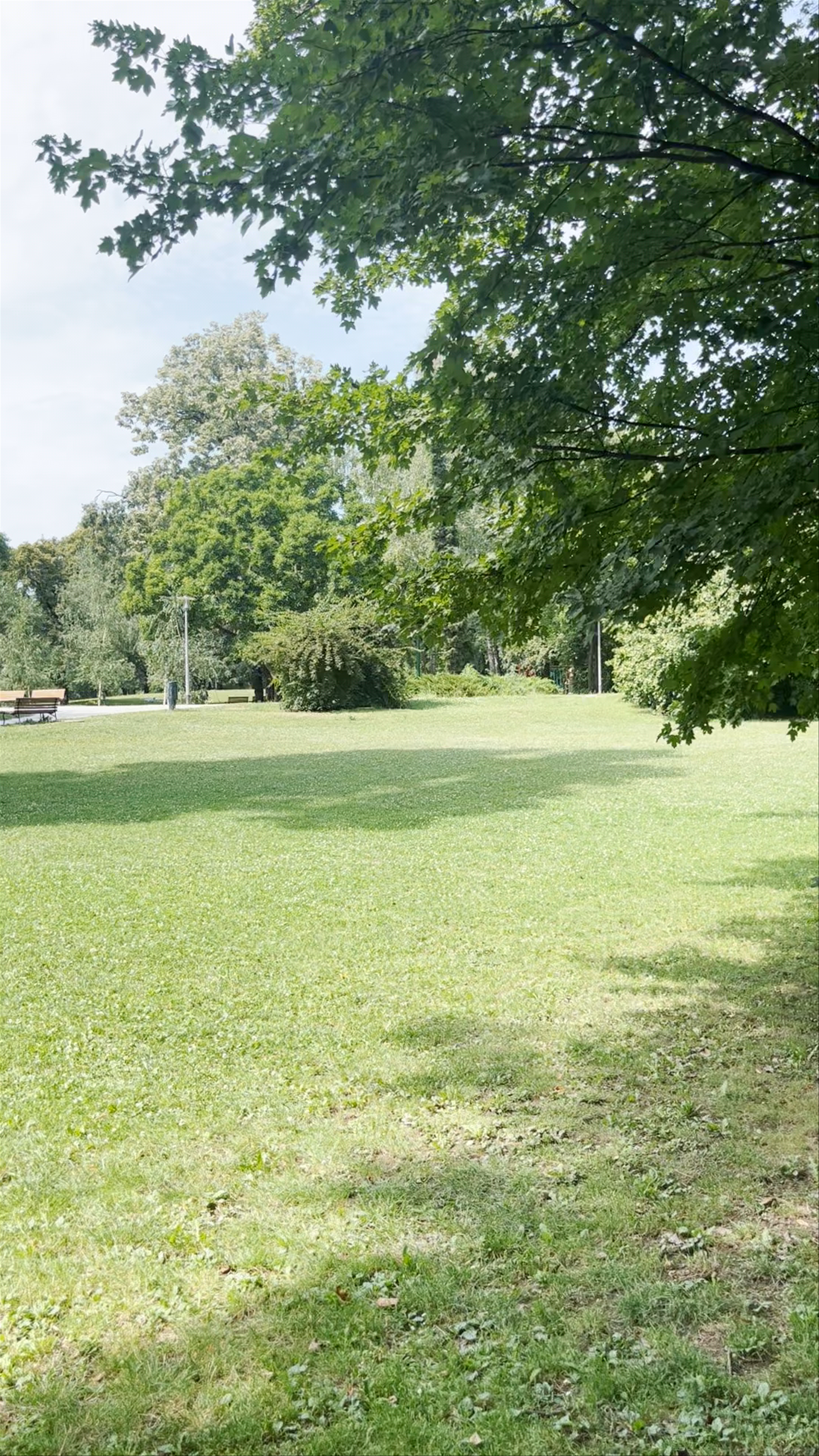 Serene Summer Stroll through Park Ribnjak, Zagreb
