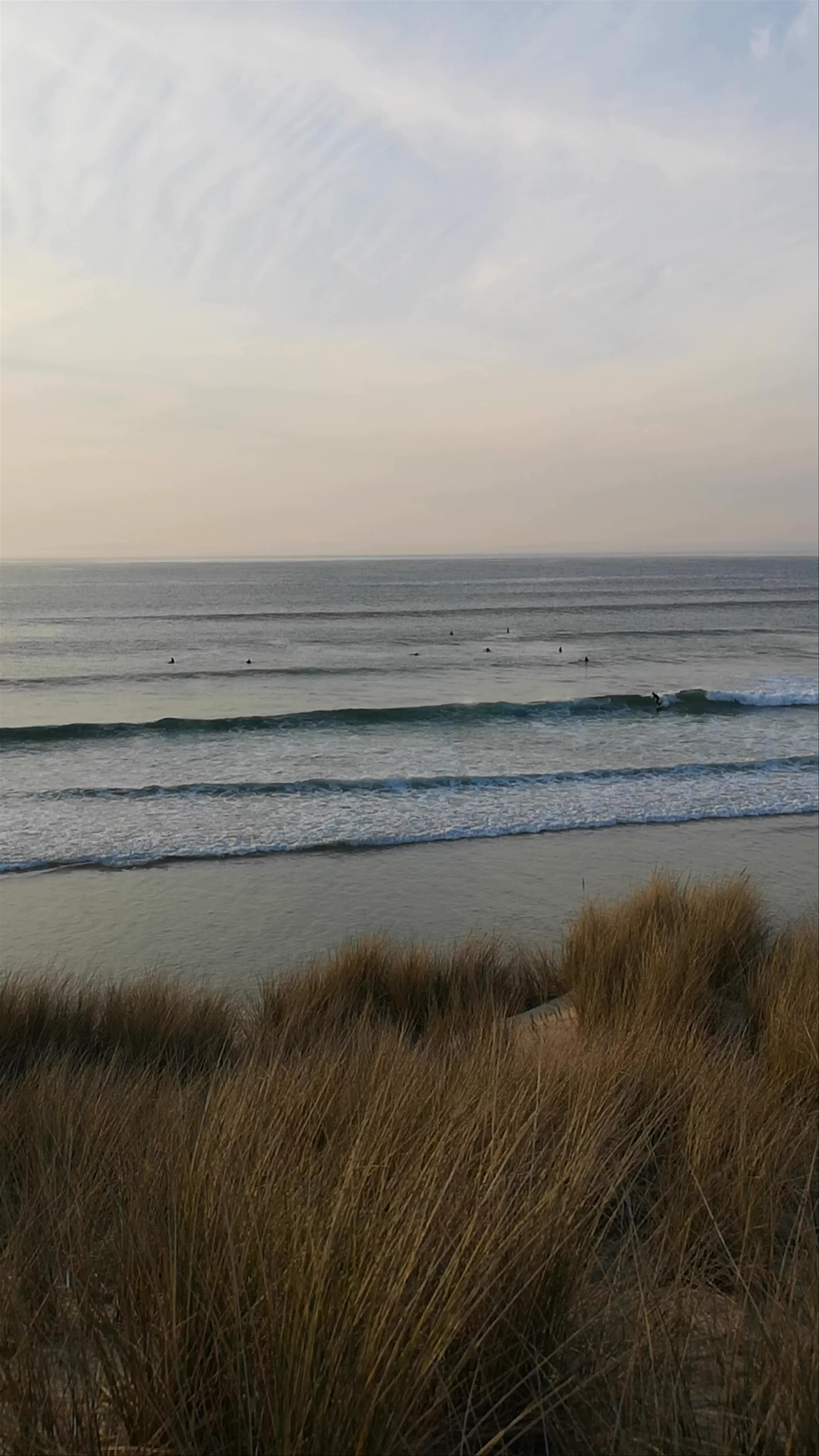 Hayle