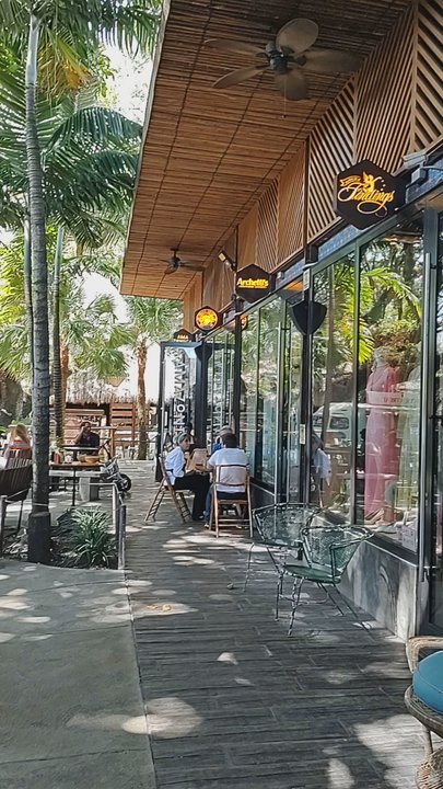 The Bodhi Wishtree - Local Flavor Near Me - Miami, Florida