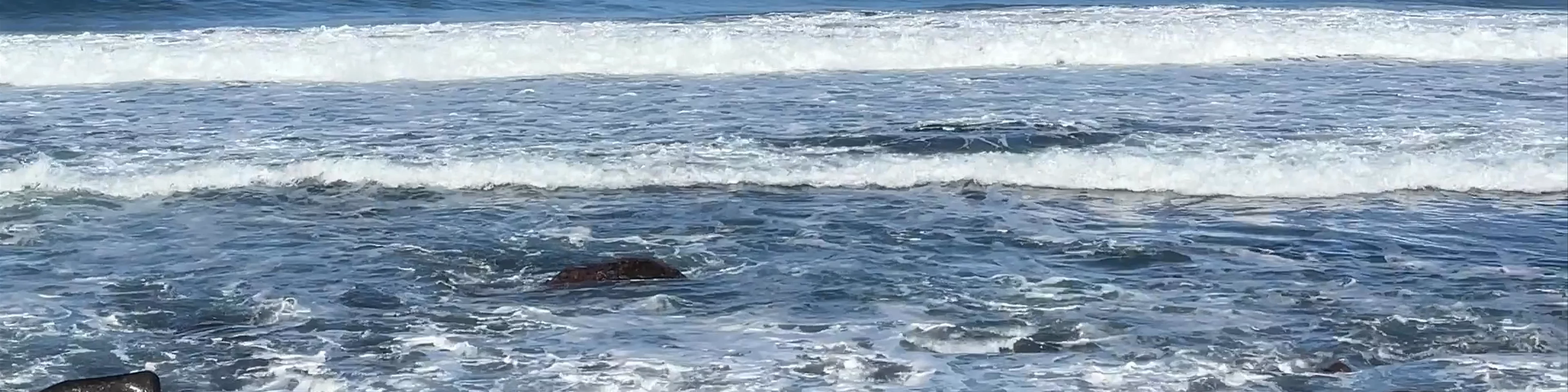 Playa del risco