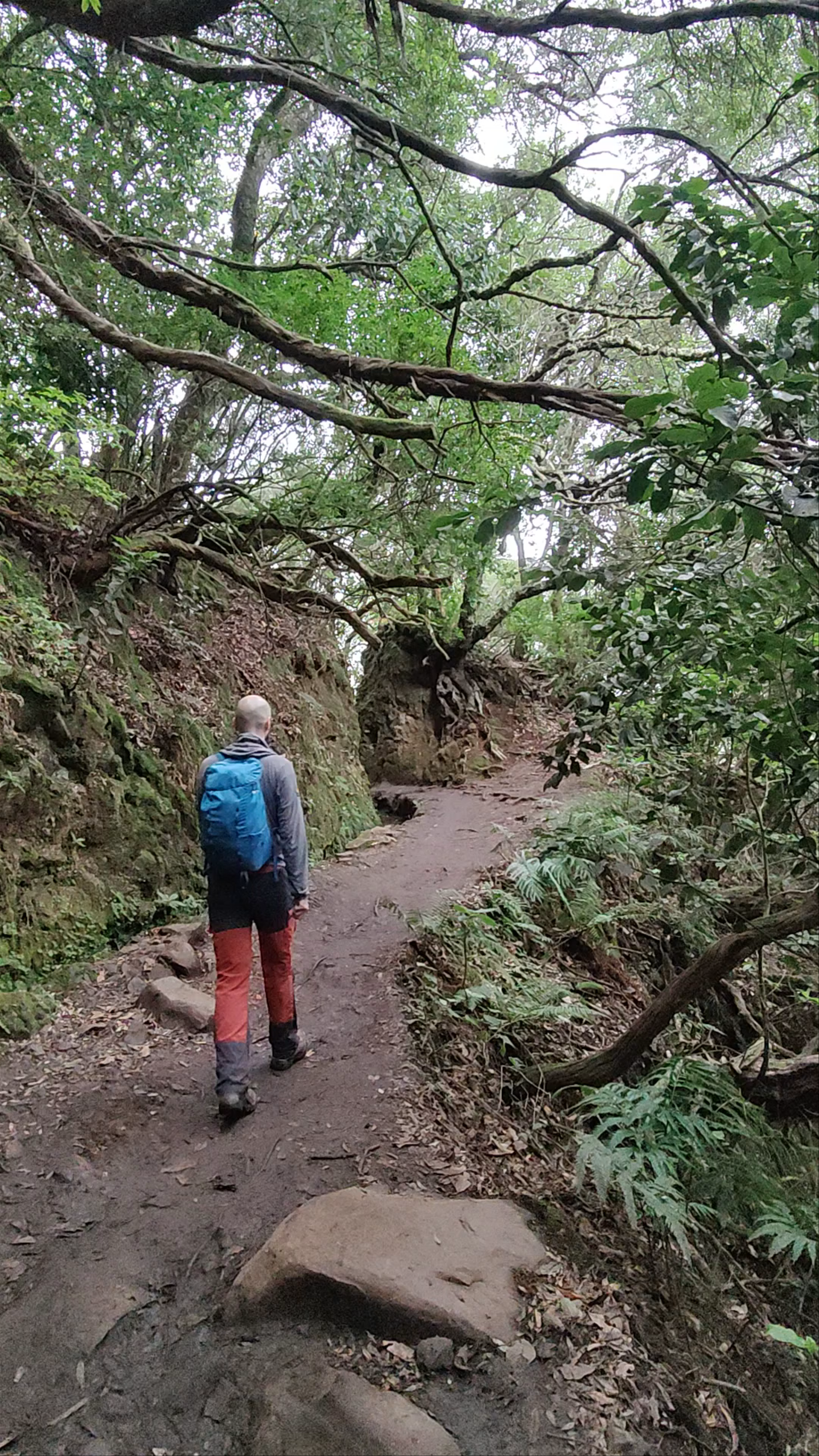 Enchanting PR9 Levada do Caldeirão Verde Hike in Madeira