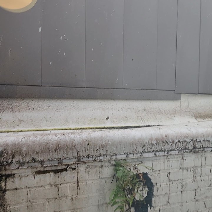 The State Hotel - There is a noise that the front desk said was birds? This is a known issue - Hotels Near Me - Seattle, Washington