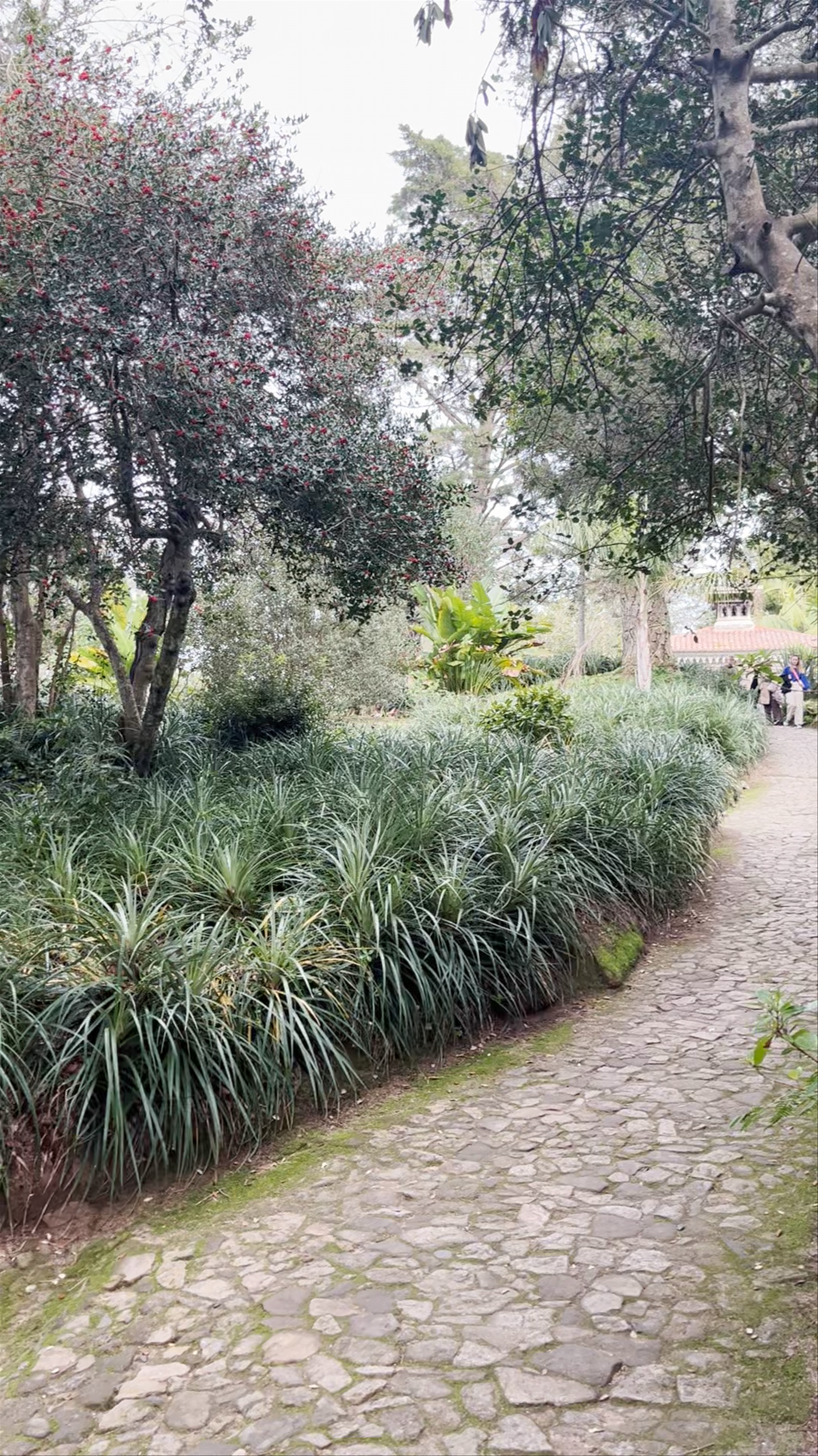 Parques de Sintra-Monte da Lua (PSML)