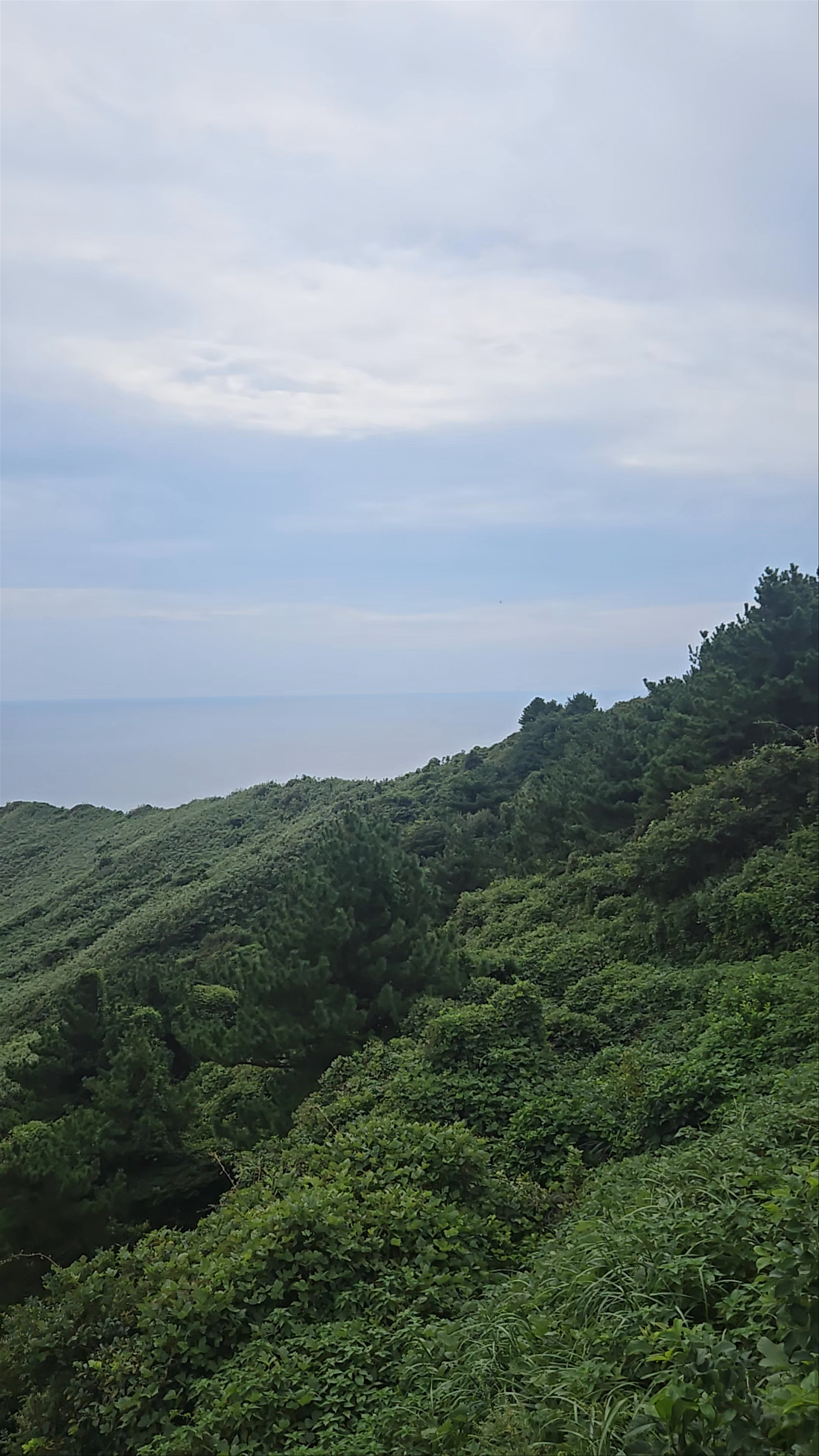 Seongsan Sunrise Peak NH